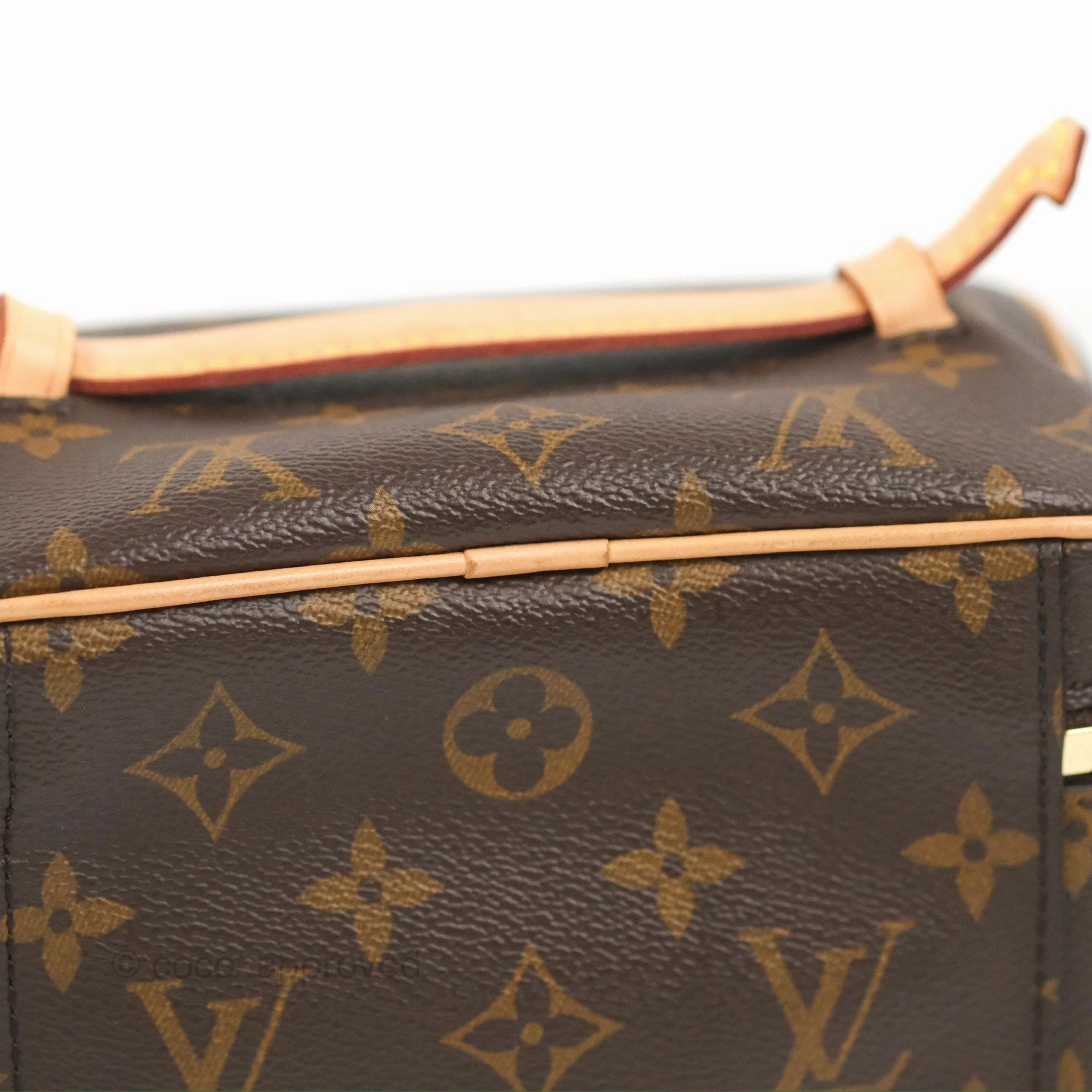 Louis Vuitton Nice Mini Monogram Canvas