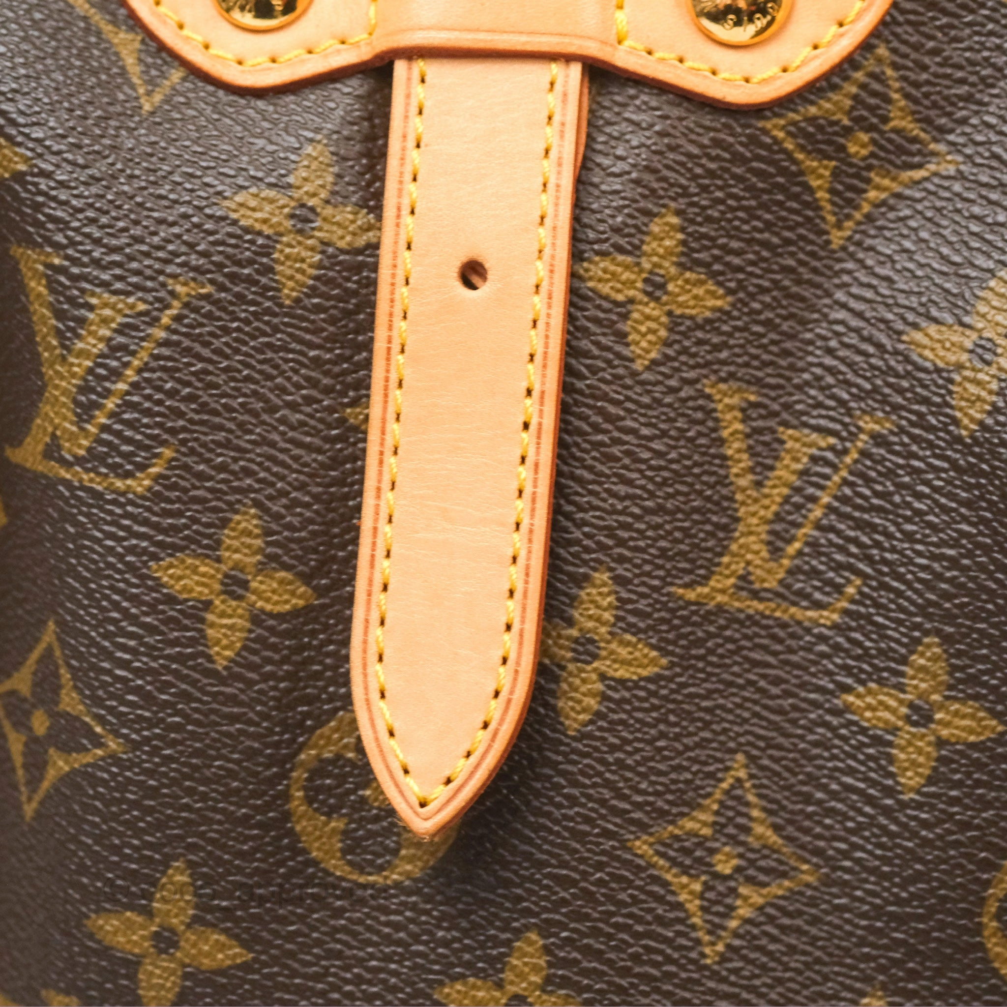 Louis Vuitton Palermo GM Monogram Canvas