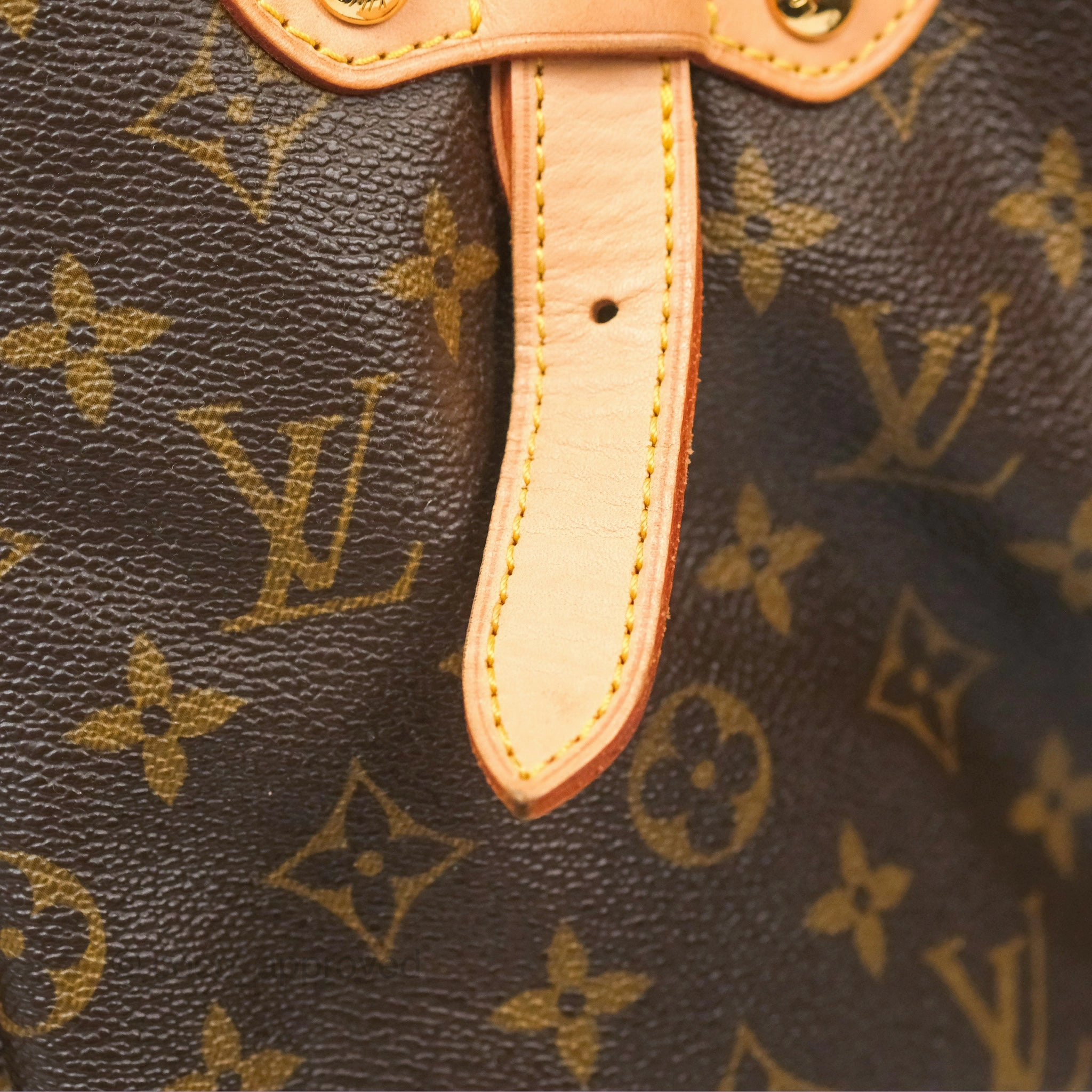 Louis Vuitton Palermo GM Monogram Canvas