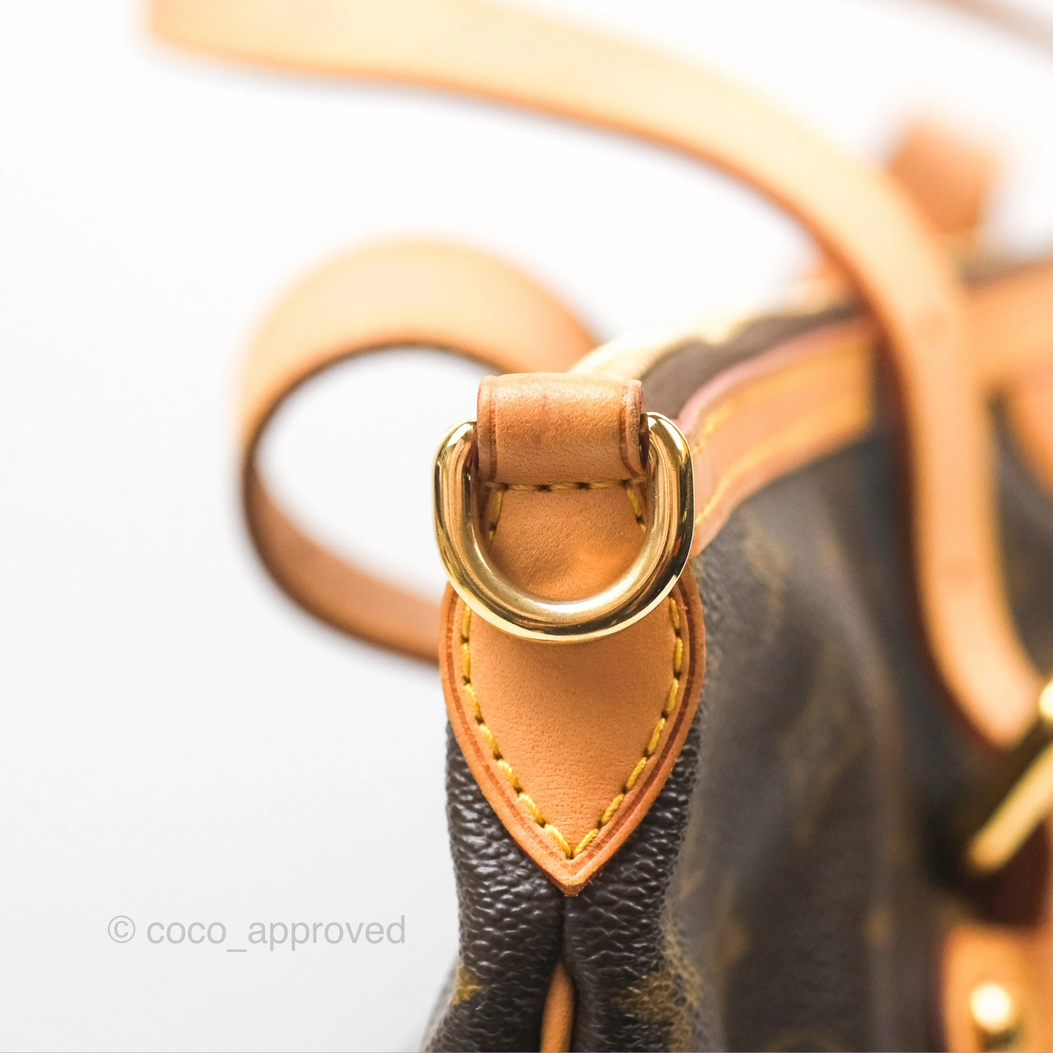 Louis Vuitton Palermo GM Monogram Canvas
