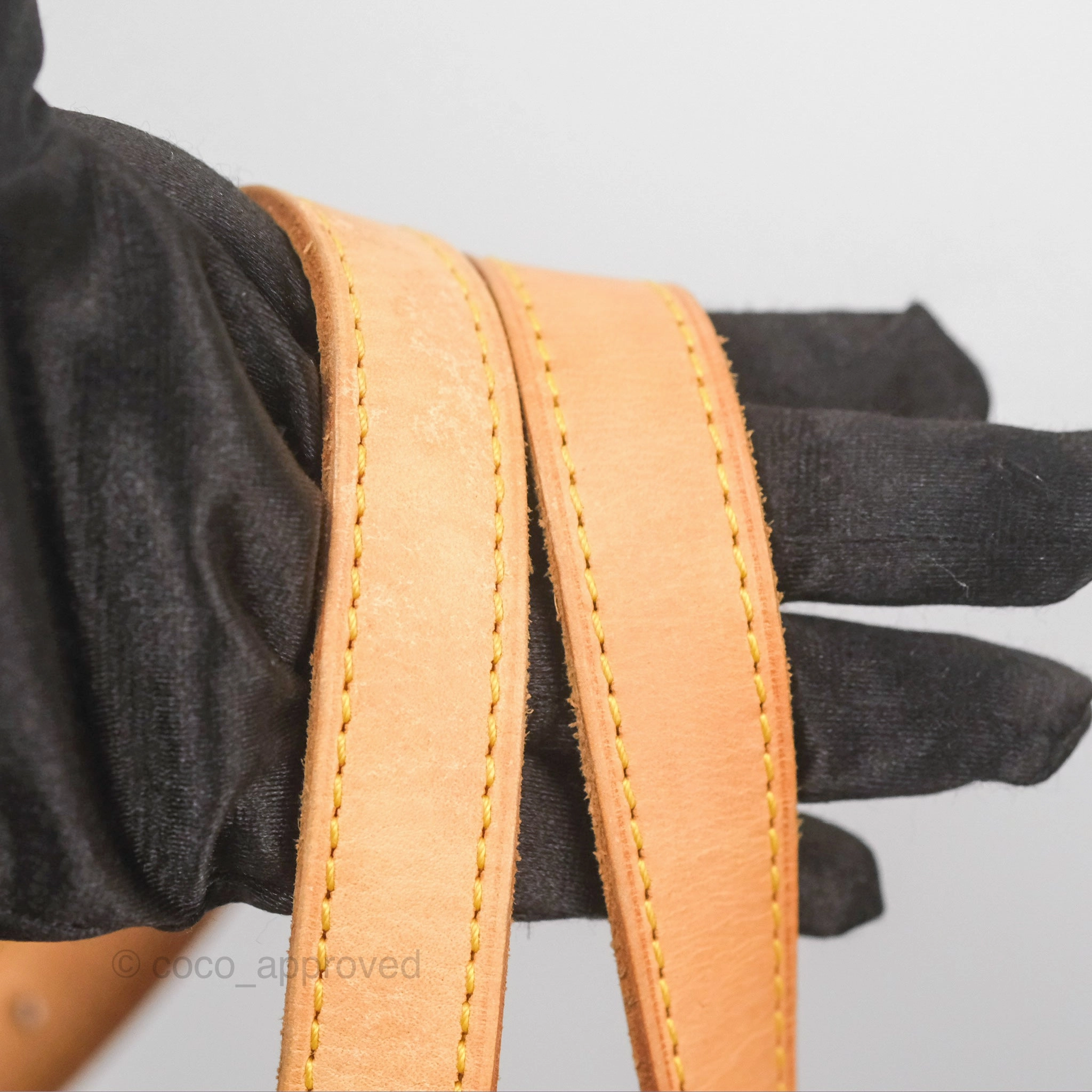 Louis Vuitton Palermo GM Monogram Canvas