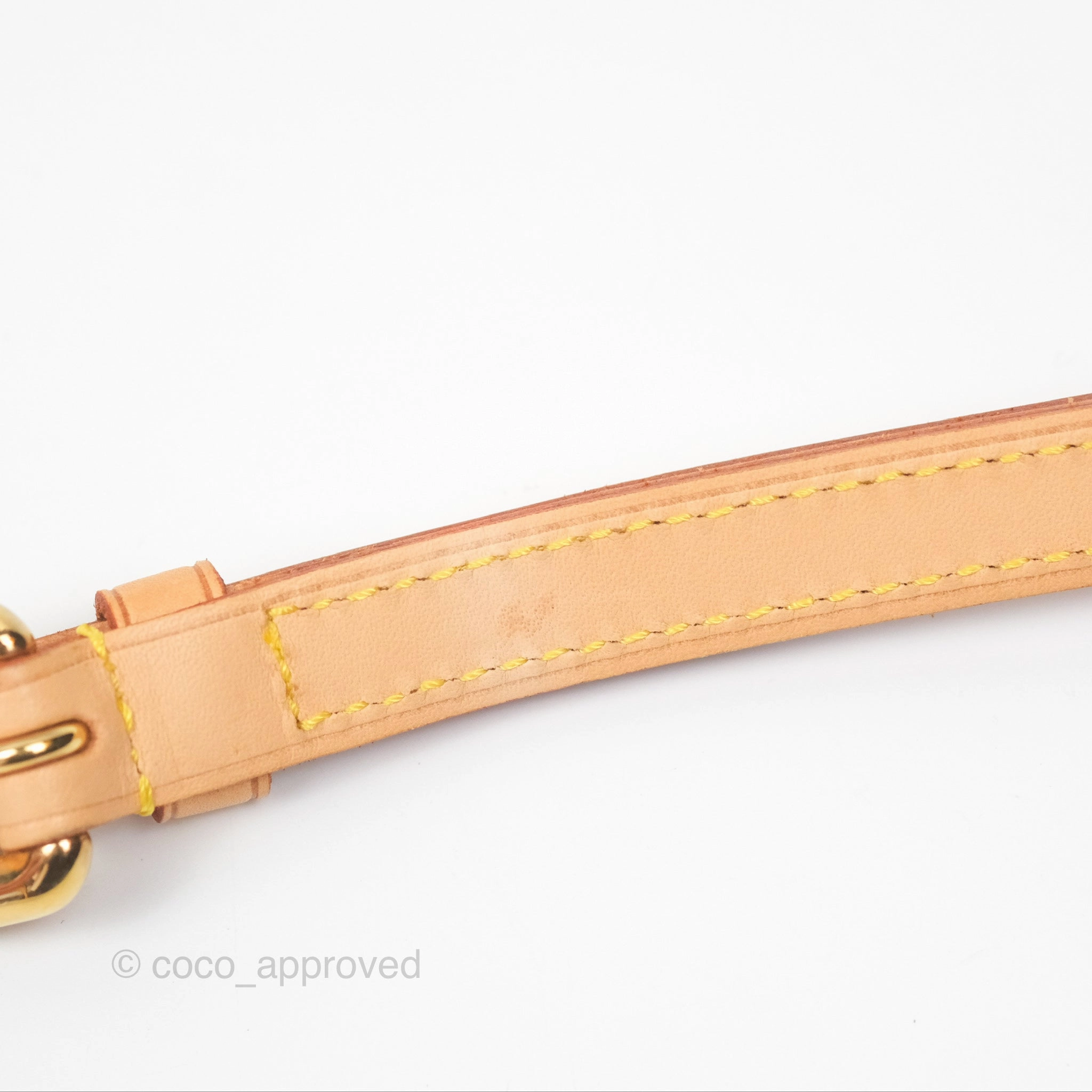 Louis Vuitton Palermo GM Monogram Canvas