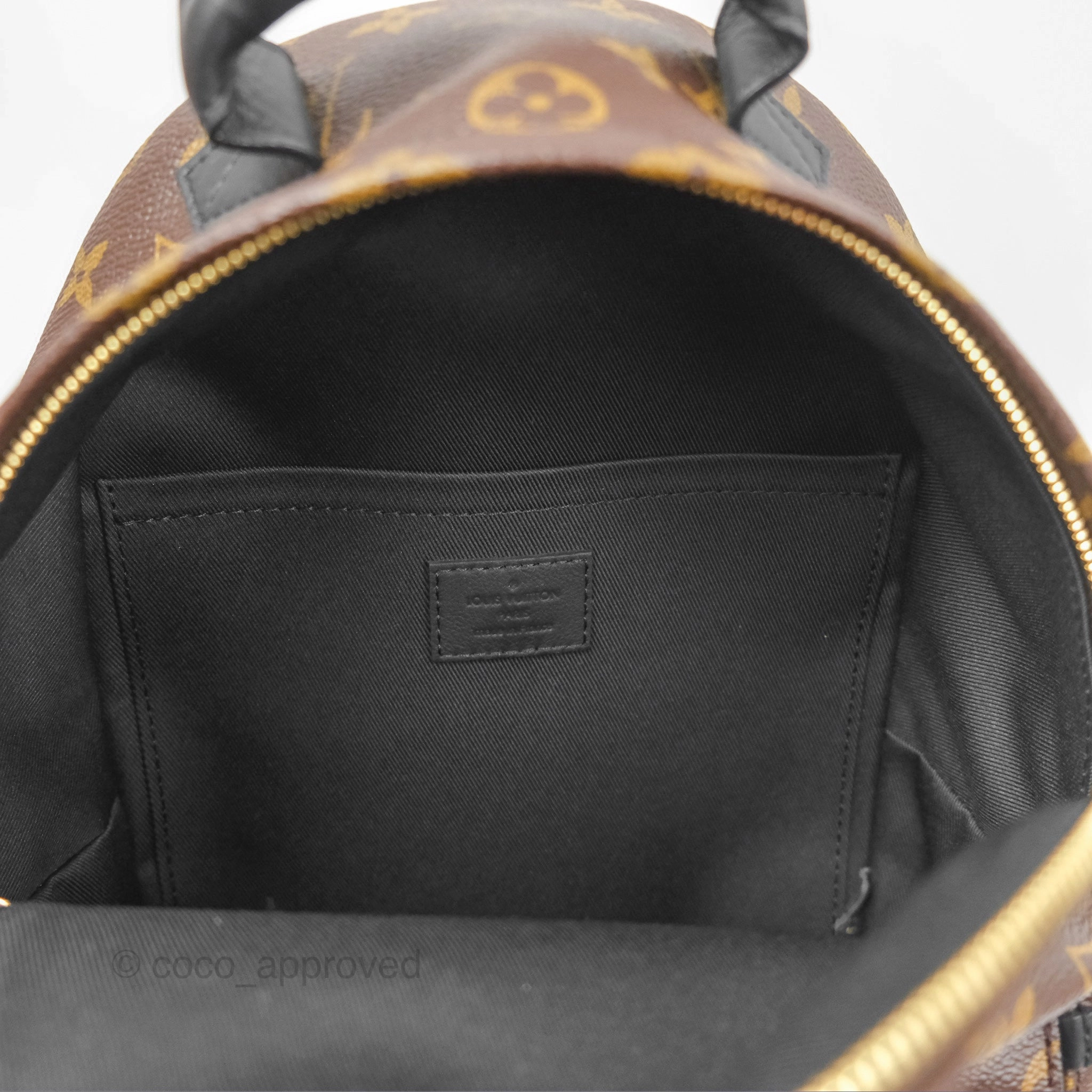 Louis Vuitton Palm Springs Backpack Monogram PM