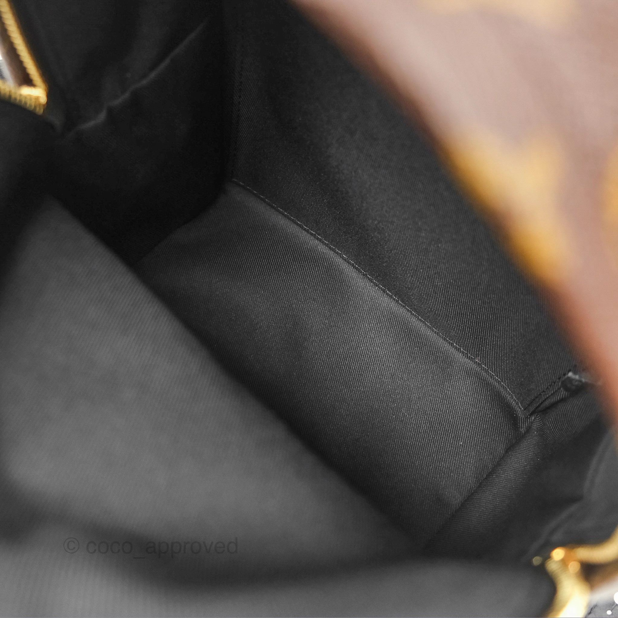 Louis Vuitton Palm Springs Backpack Monogram PM
