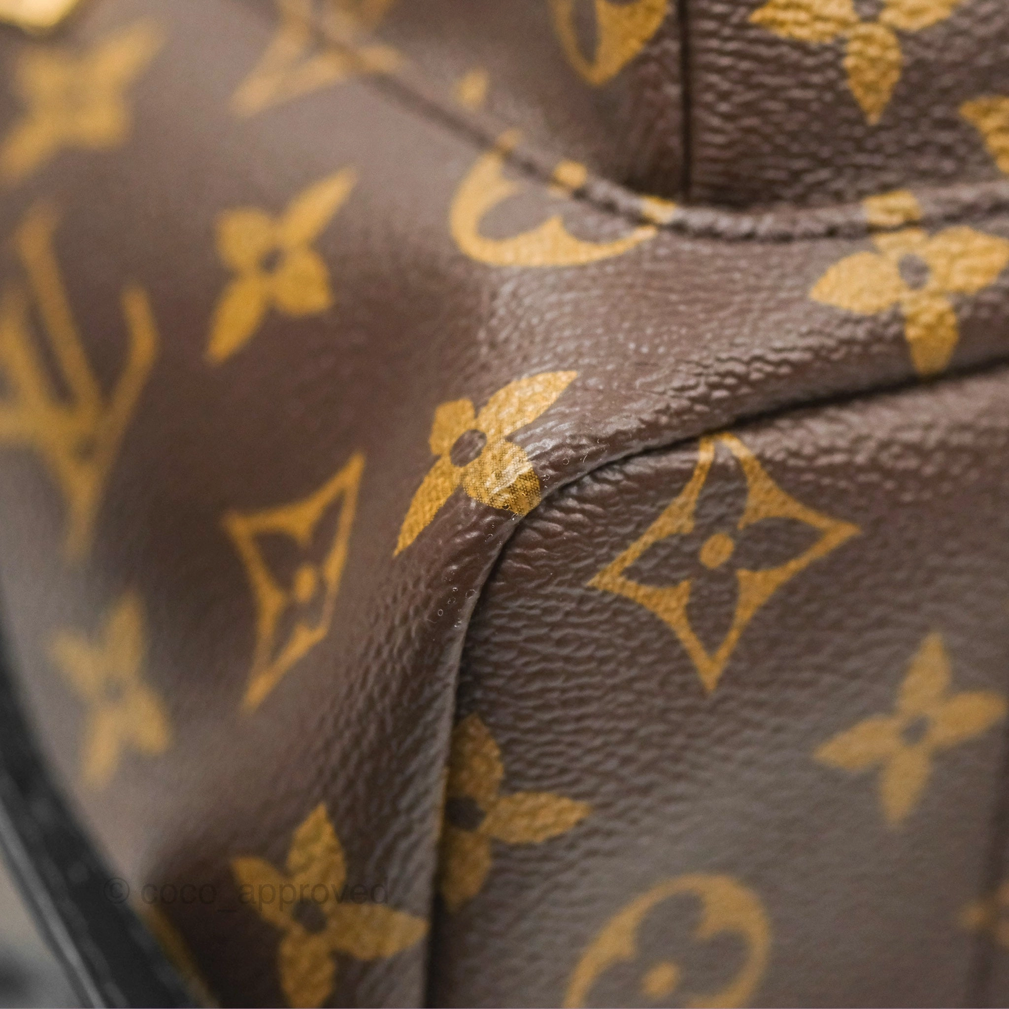 Louis Vuitton Palm Springs Backpack Monogram PM