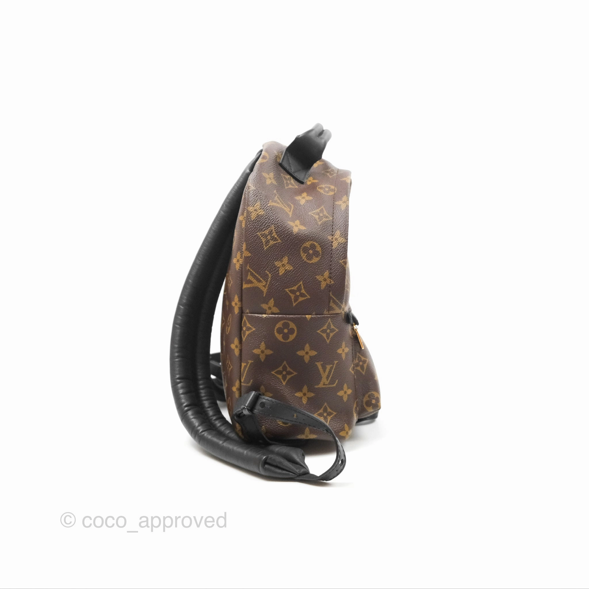 Louis Vuitton Palm Springs Backpack Monogram PM