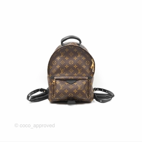 Louis Vuitton Palm Springs Backpack Monogram PM