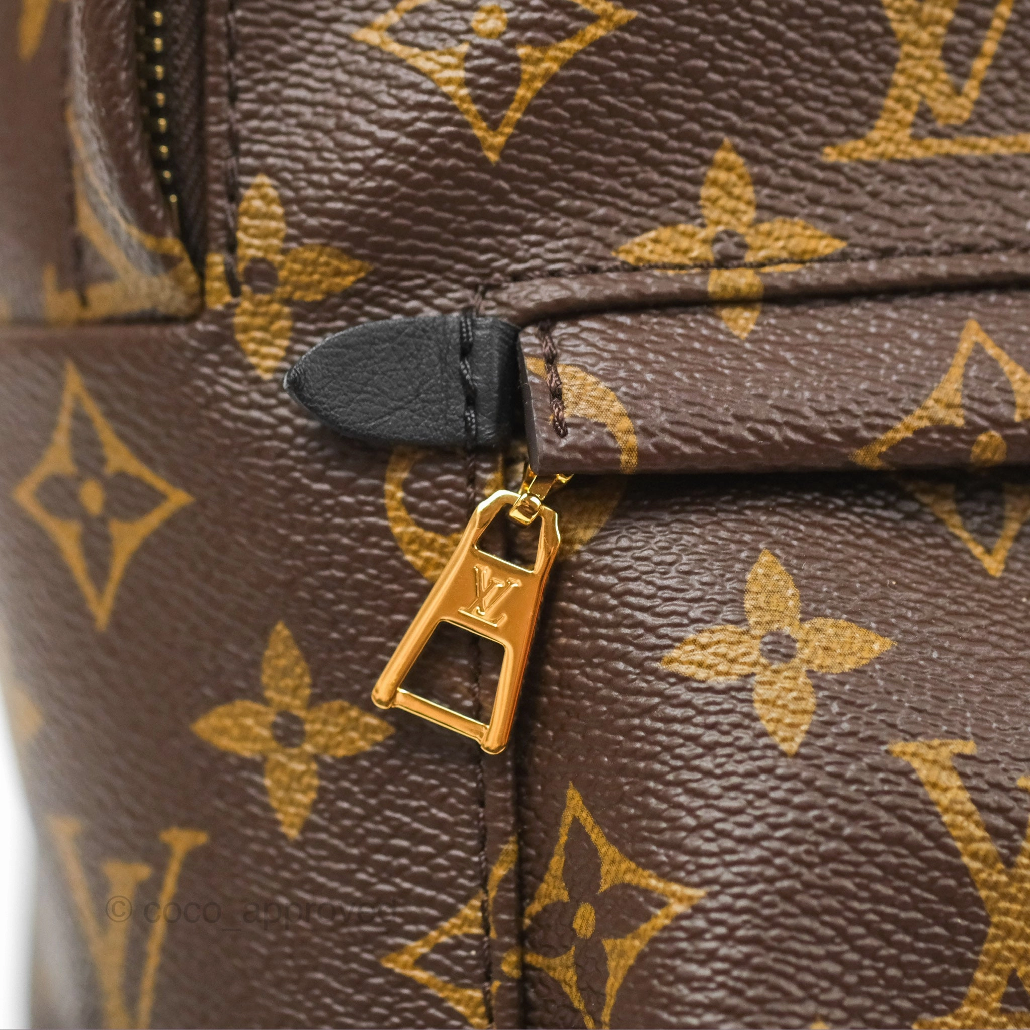 Louis Vuitton Palm Springs Backpack Monogram PM
