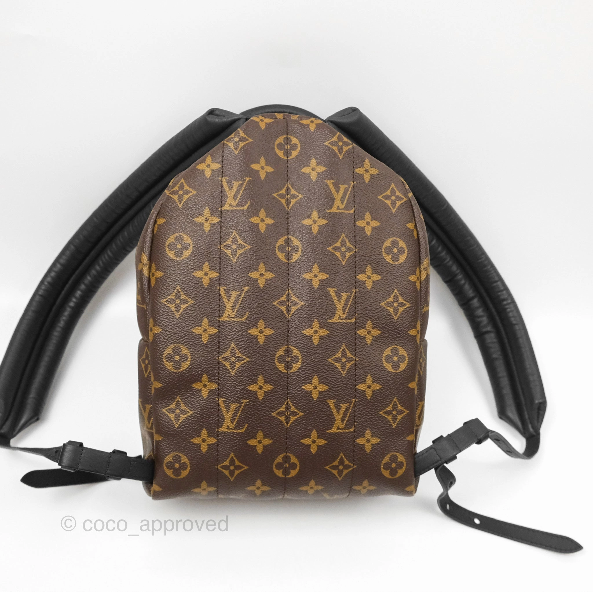 Louis Vuitton Palm Springs Backpack Monogram PM