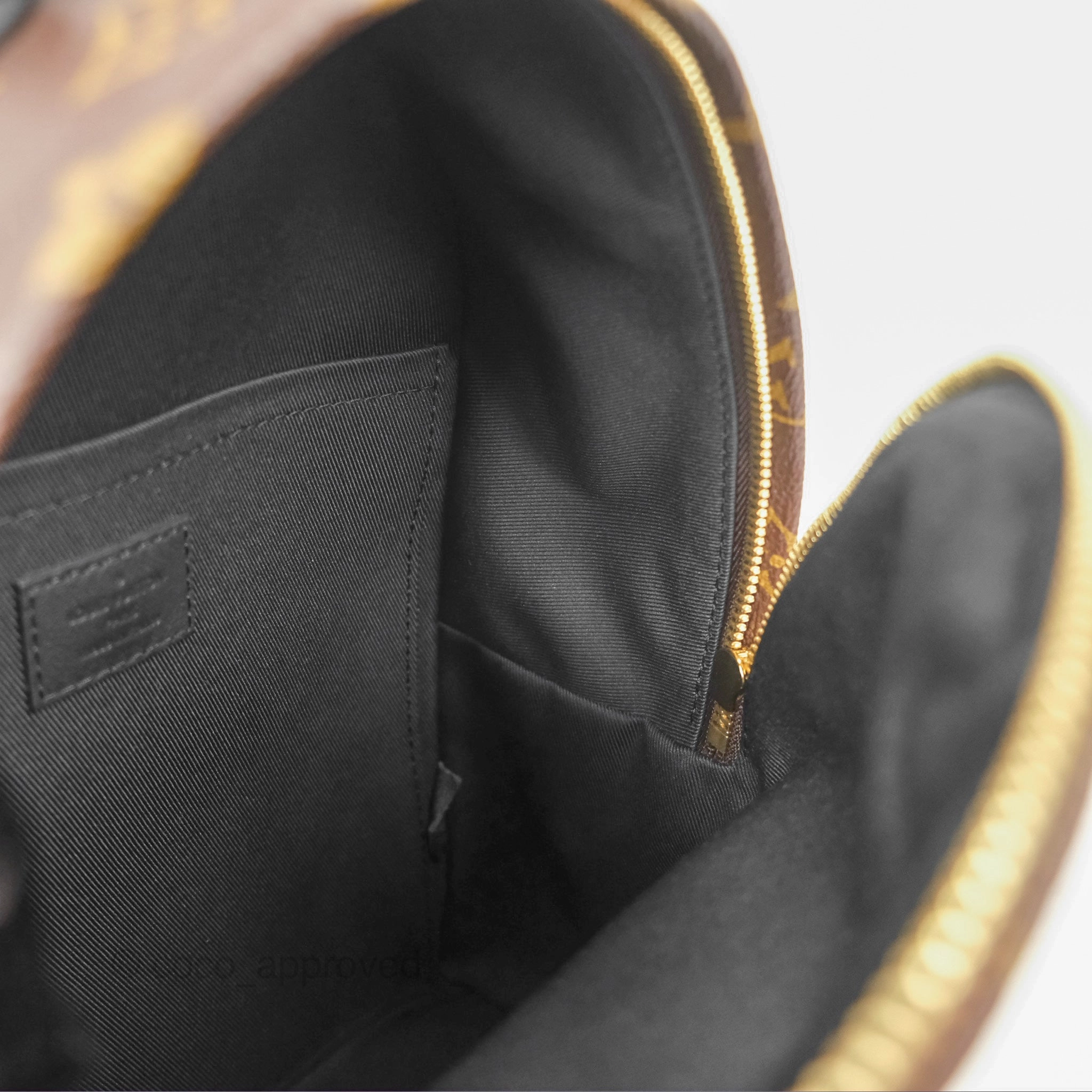 Louis Vuitton Palm Springs Backpack Monogram PM
