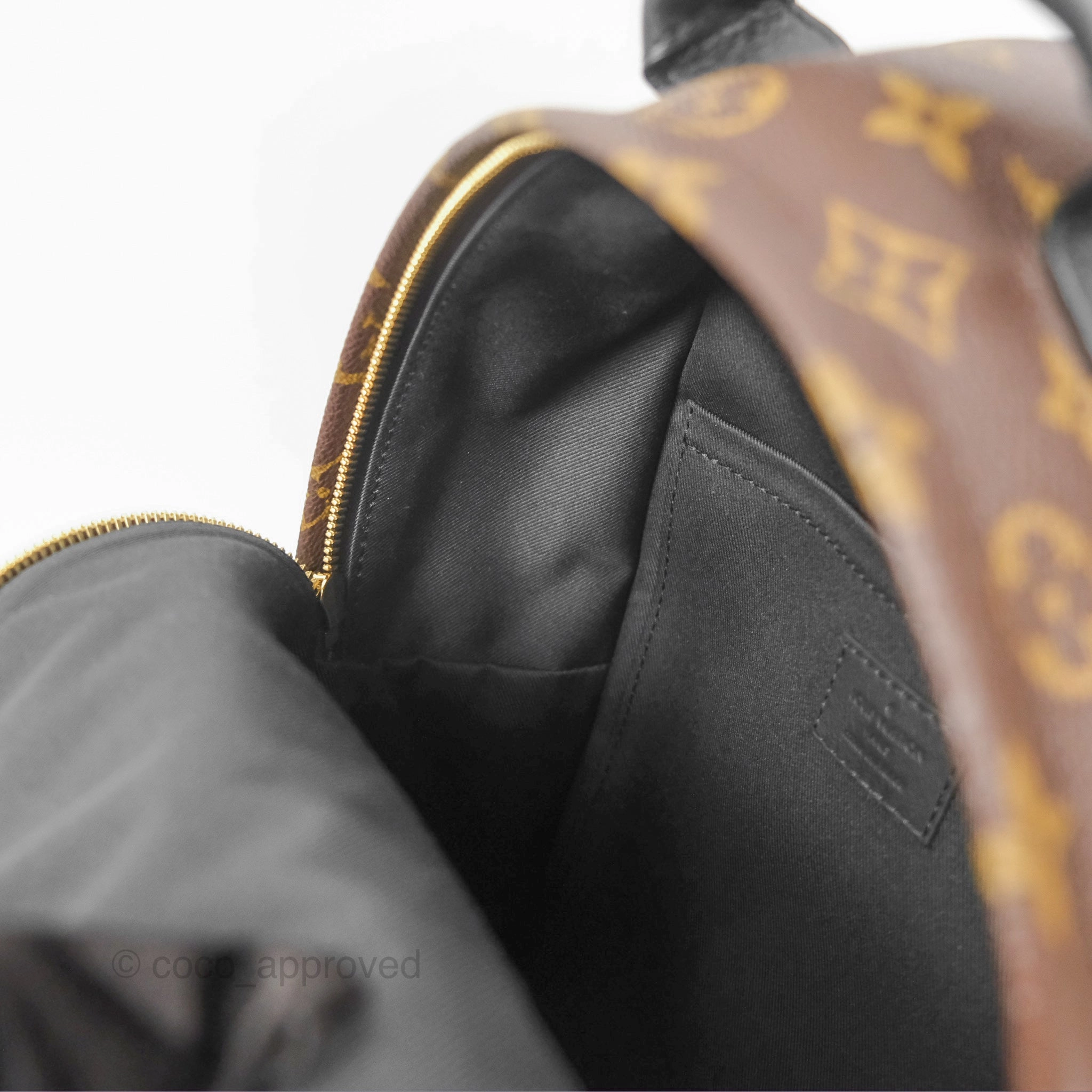 Louis Vuitton Palm Springs Backpack Monogram PM