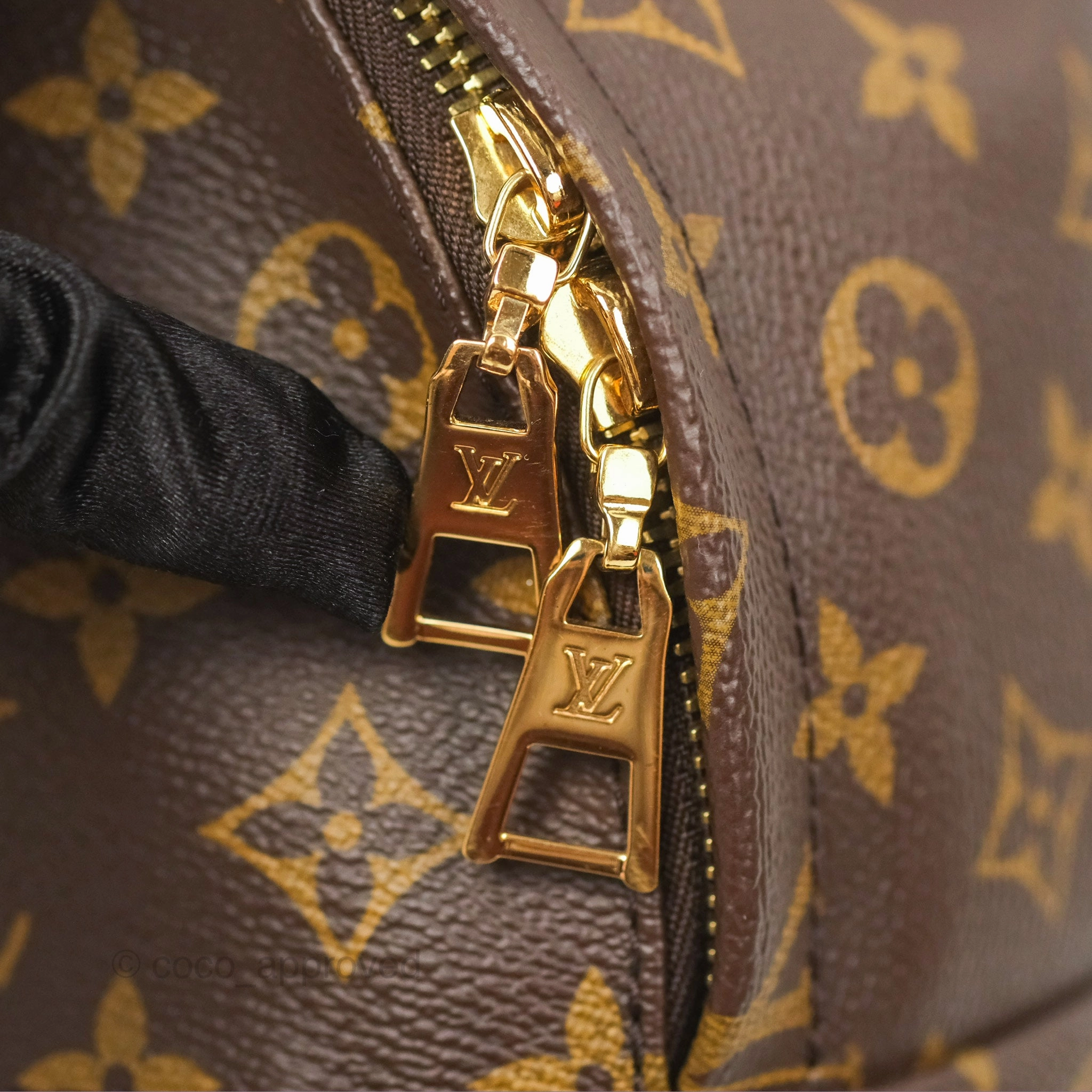 Louis Vuitton Palm Springs Backpack Monogram PM