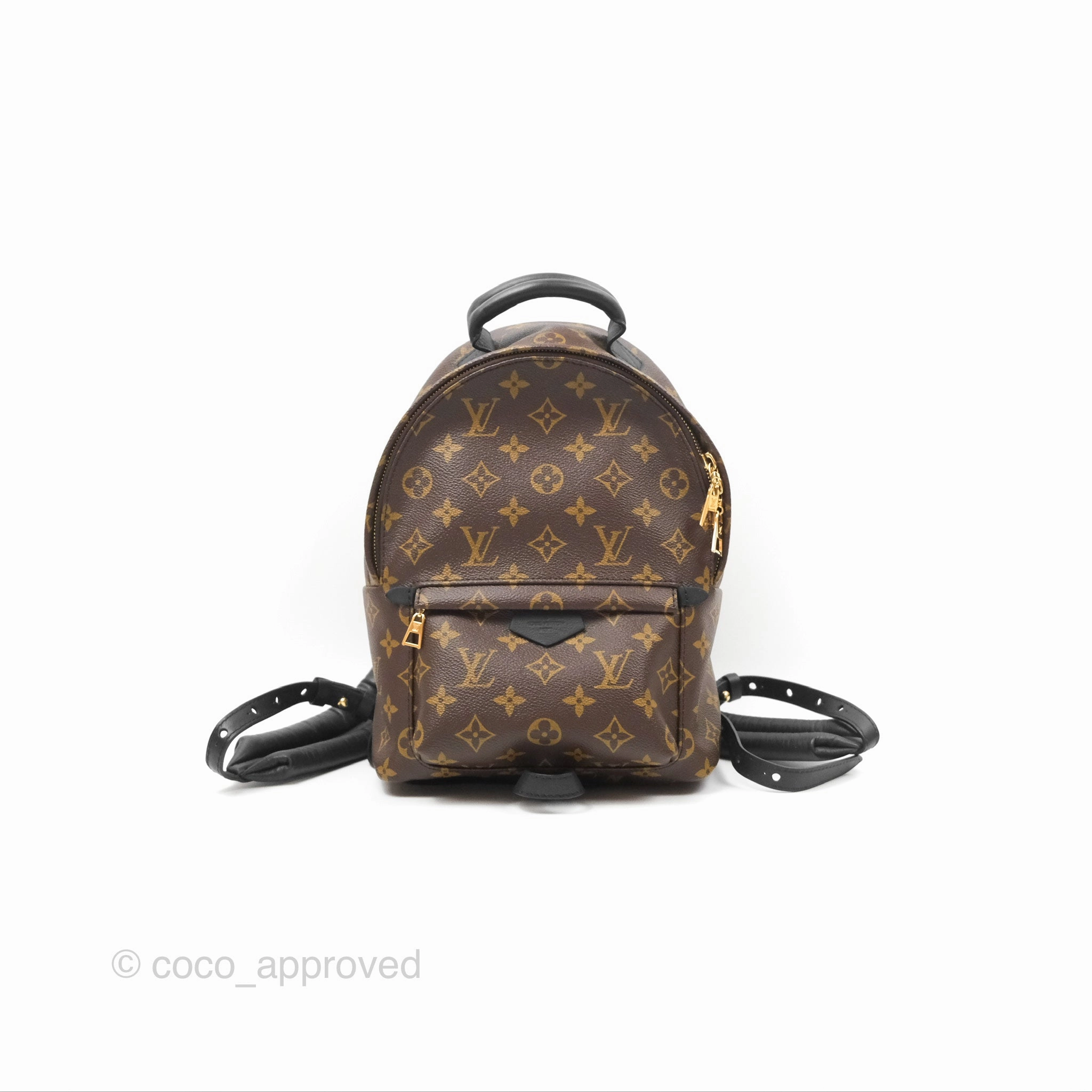 Louis Vuitton Palm Springs Backpack Monogram PM