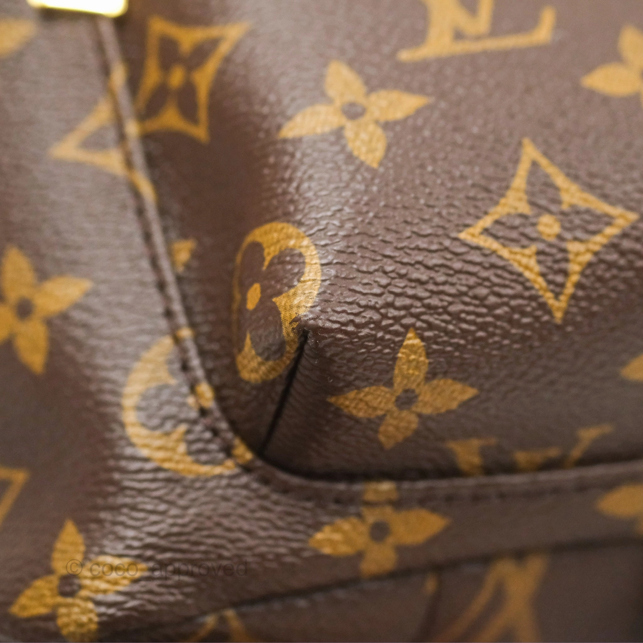 Louis Vuitton Palm Springs Backpack Monogram PM