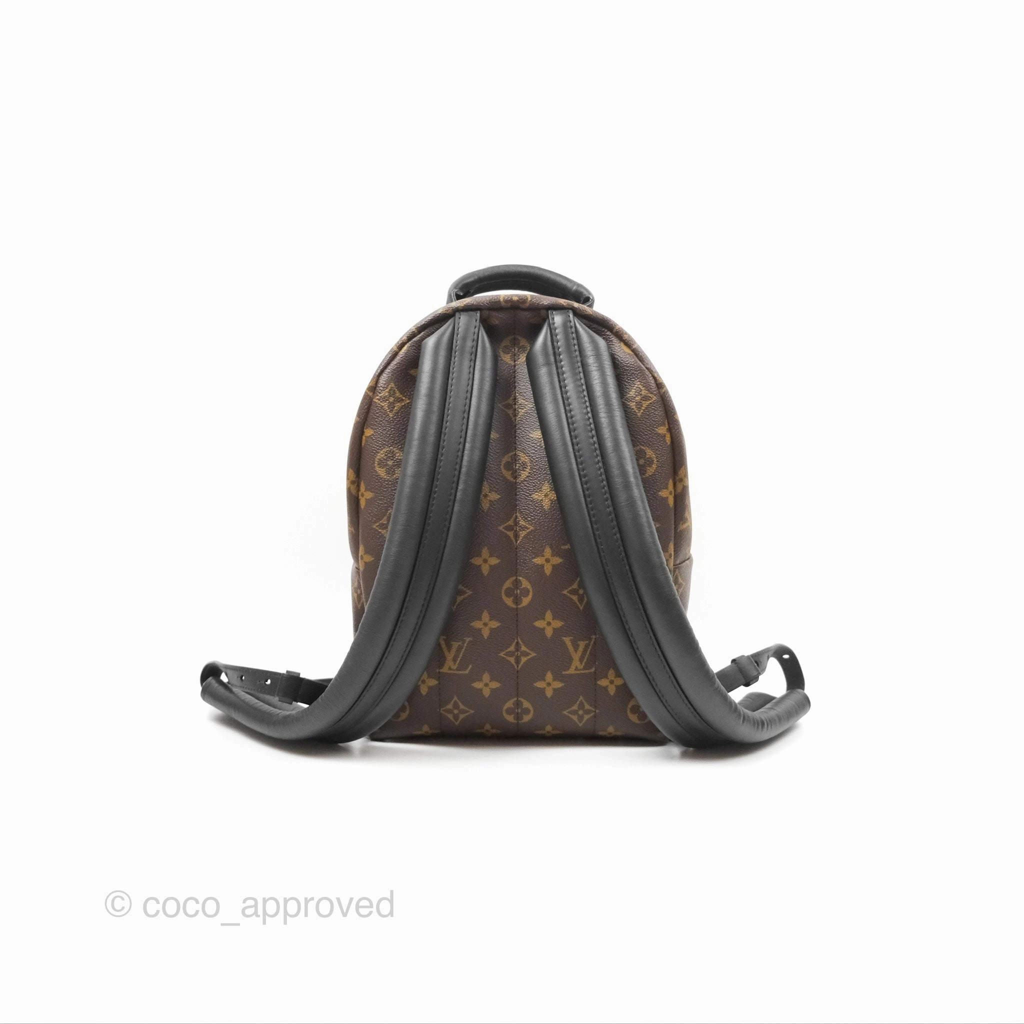 Louis Vuitton Palm Springs Backpack Monogram PM