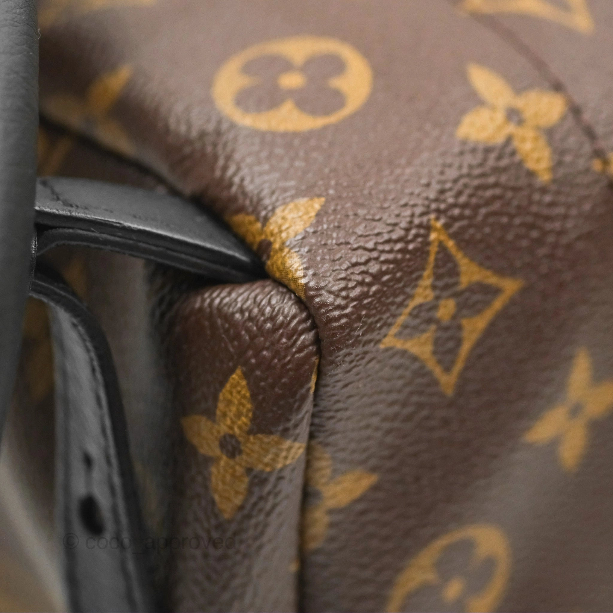 Louis Vuitton Palm Springs Backpack Monogram PM