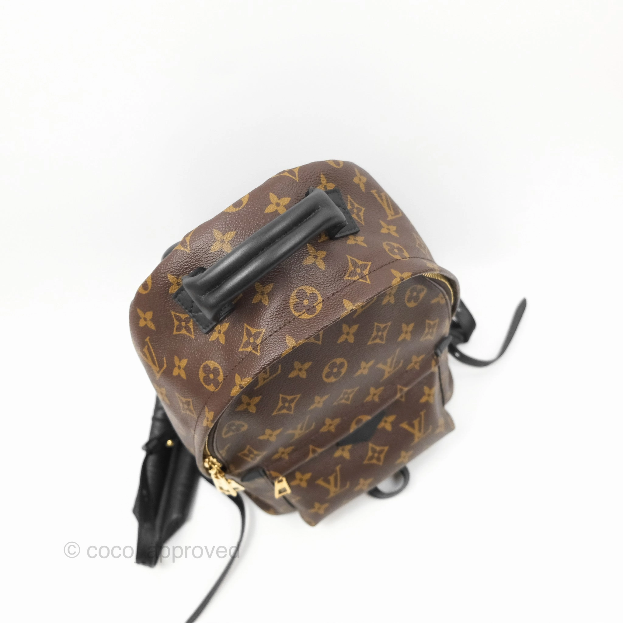 Louis Vuitton Palm Springs Backpack Monogram PM