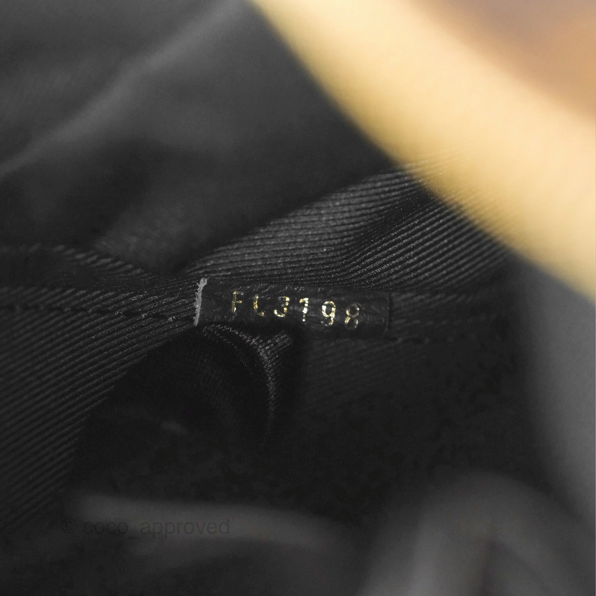 Louis Vuitton Palm Springs Backpack Monogram PM