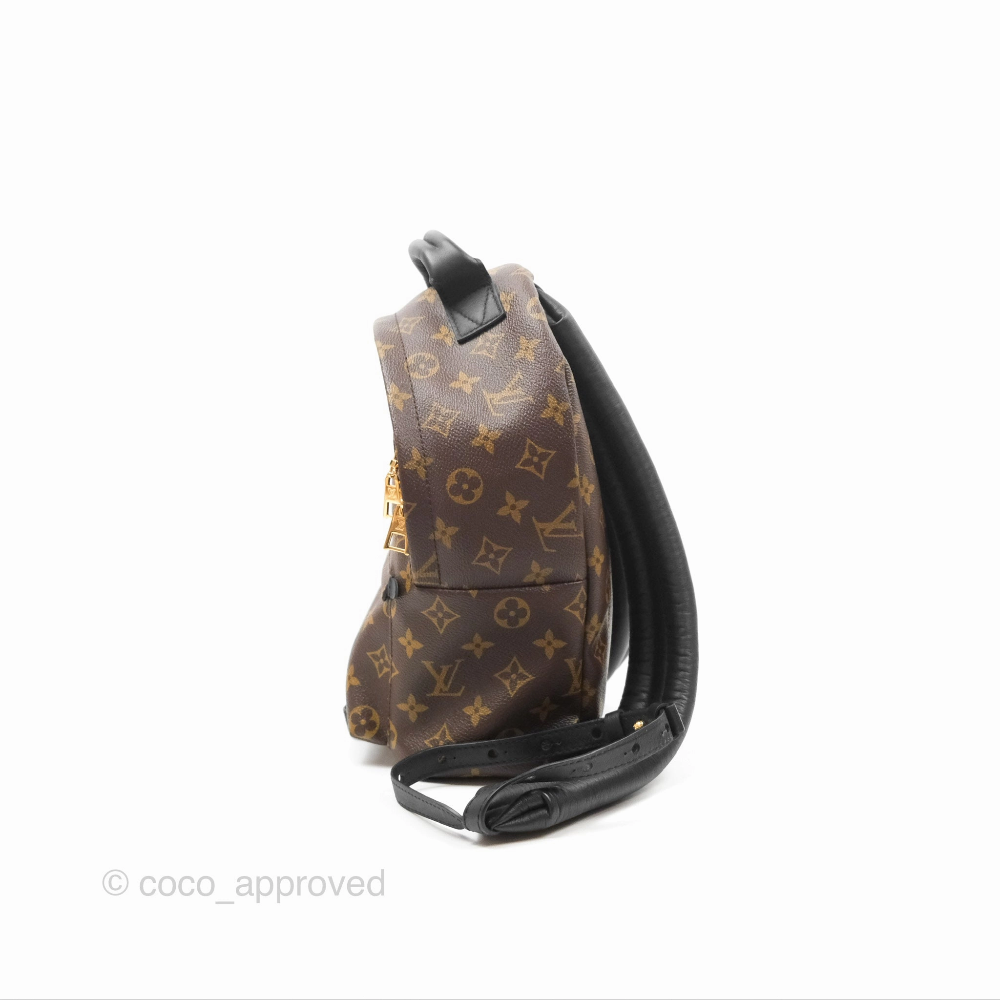Louis Vuitton Palm Springs Backpack Monogram PM