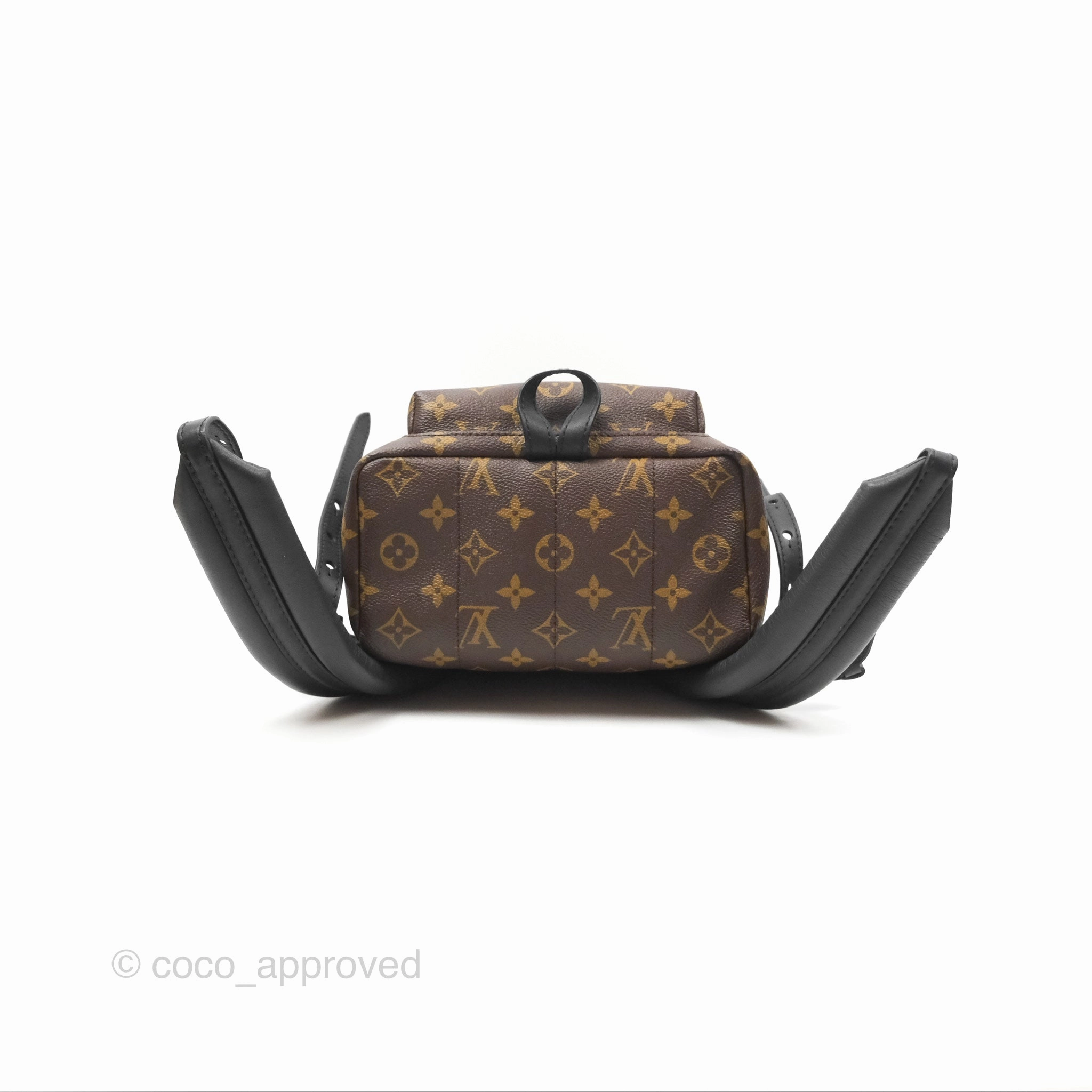 Louis Vuitton Palm Springs Backpack Monogram PM