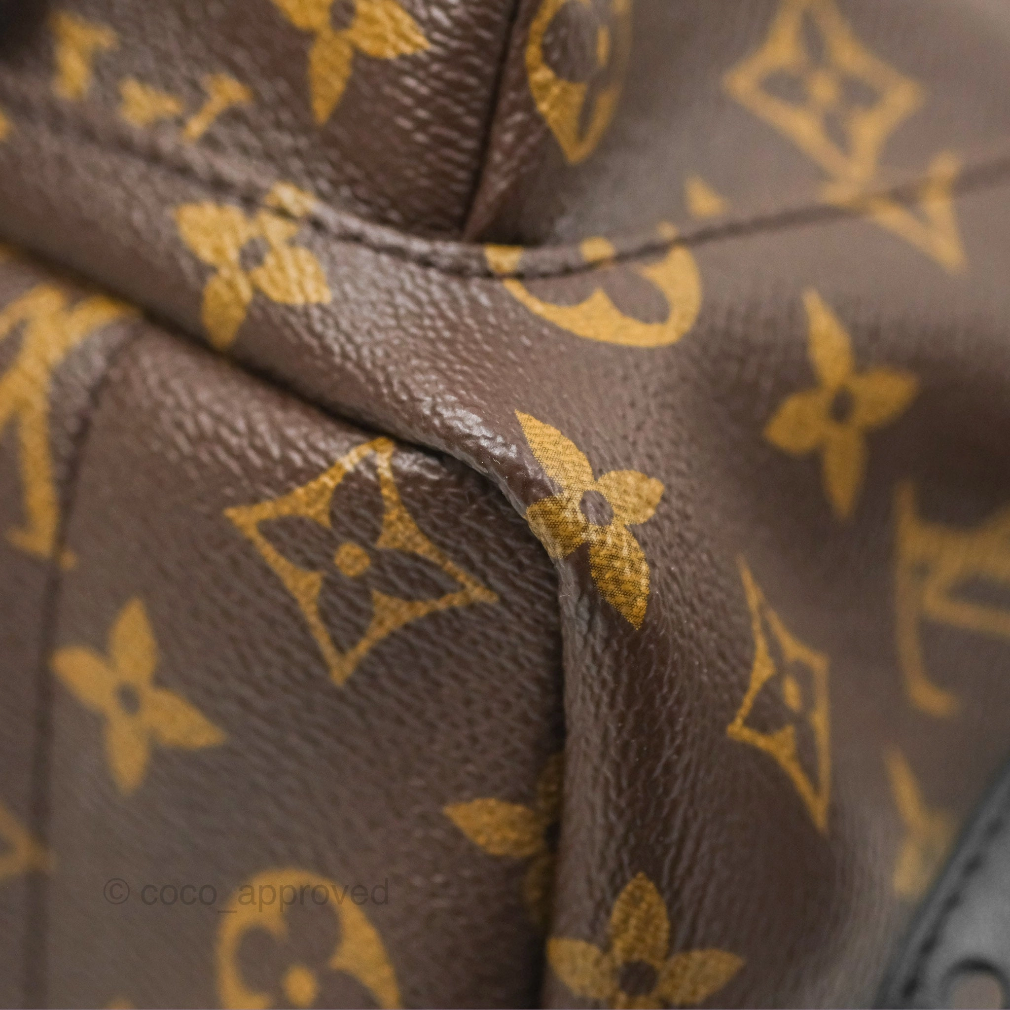 Louis Vuitton Palm Springs Backpack Monogram PM