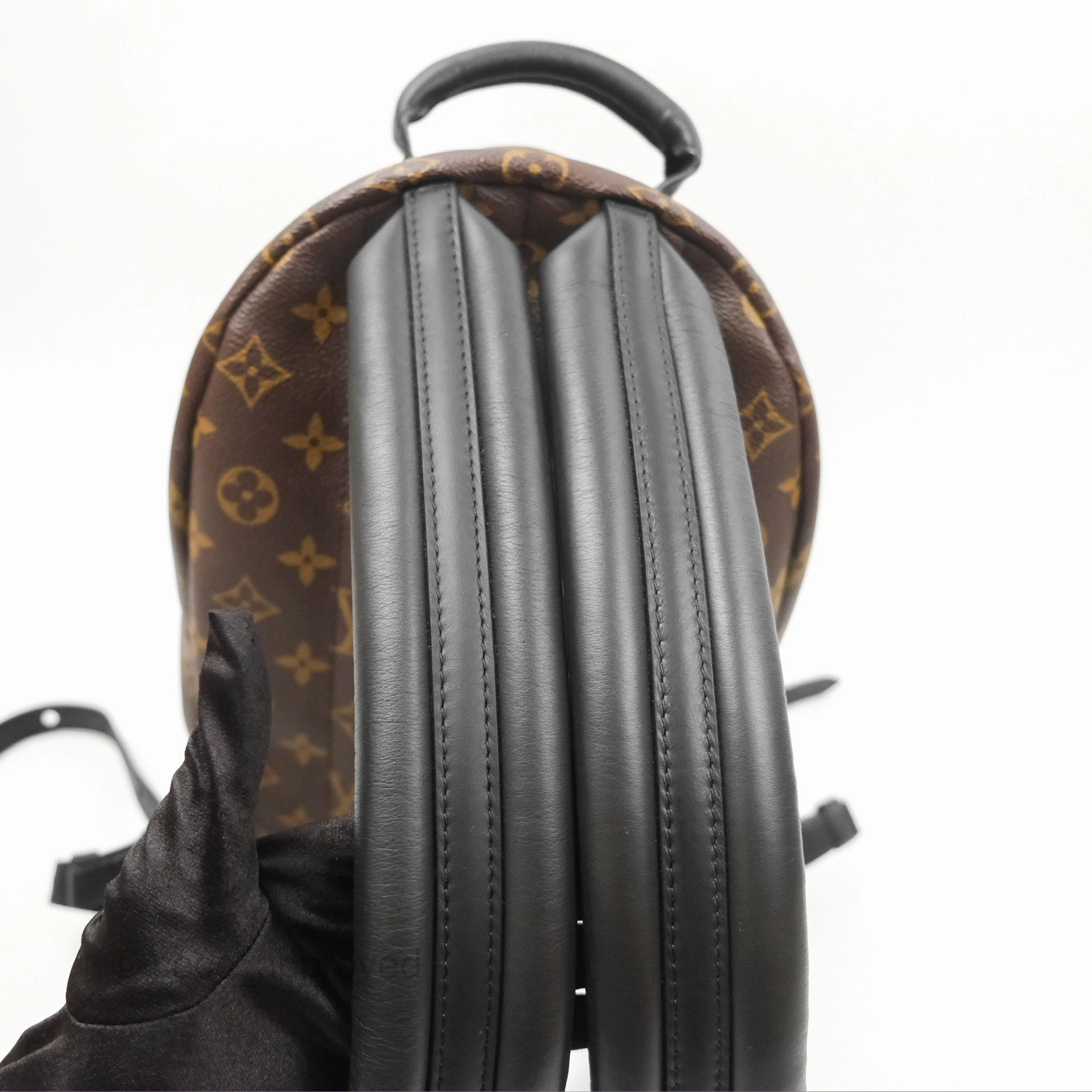 Louis Vuitton Palm Springs Backpack Monogram PM