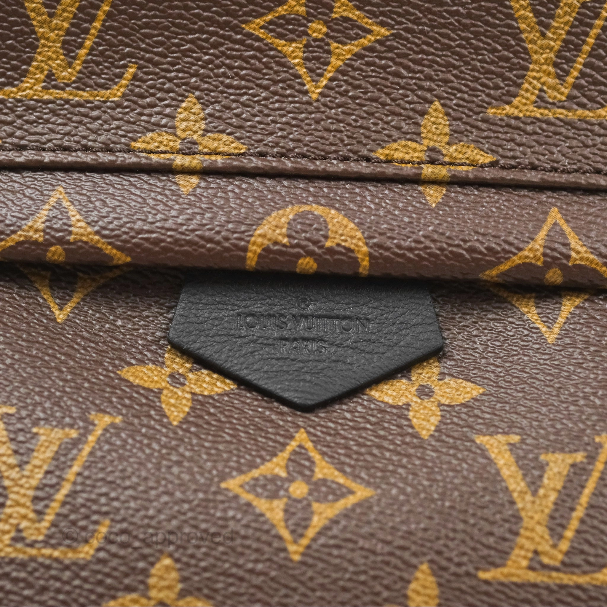 Louis Vuitton Palm Springs Backpack Monogram PM