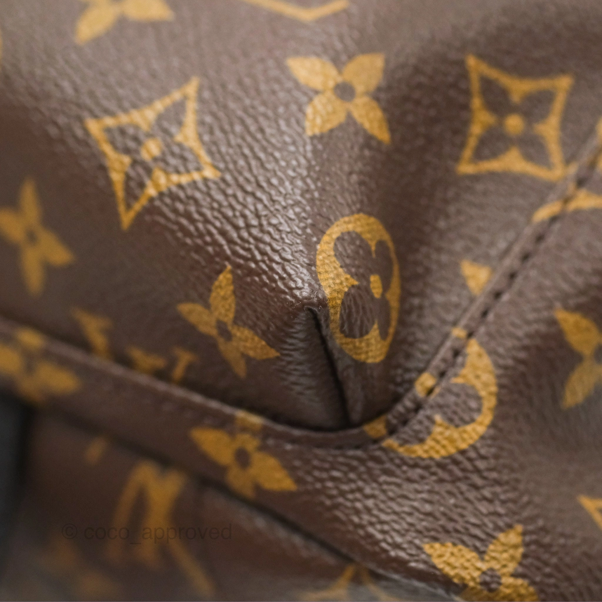 Louis Vuitton Palm Springs Backpack Monogram PM