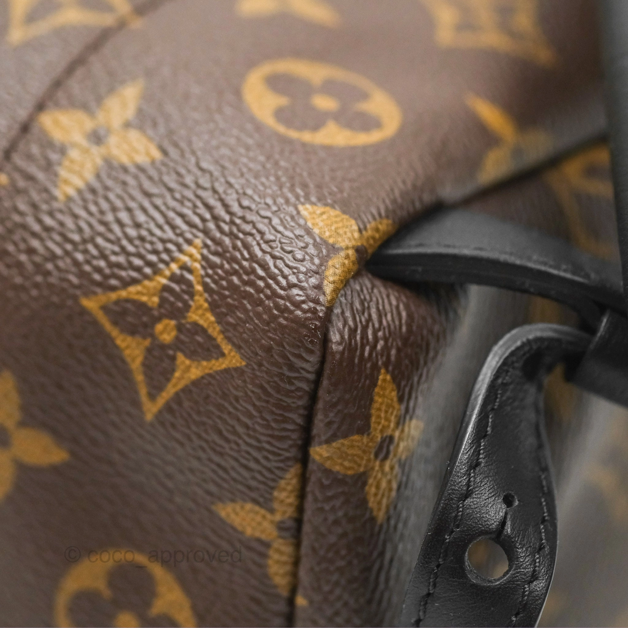 Louis Vuitton Palm Springs Backpack Monogram PM