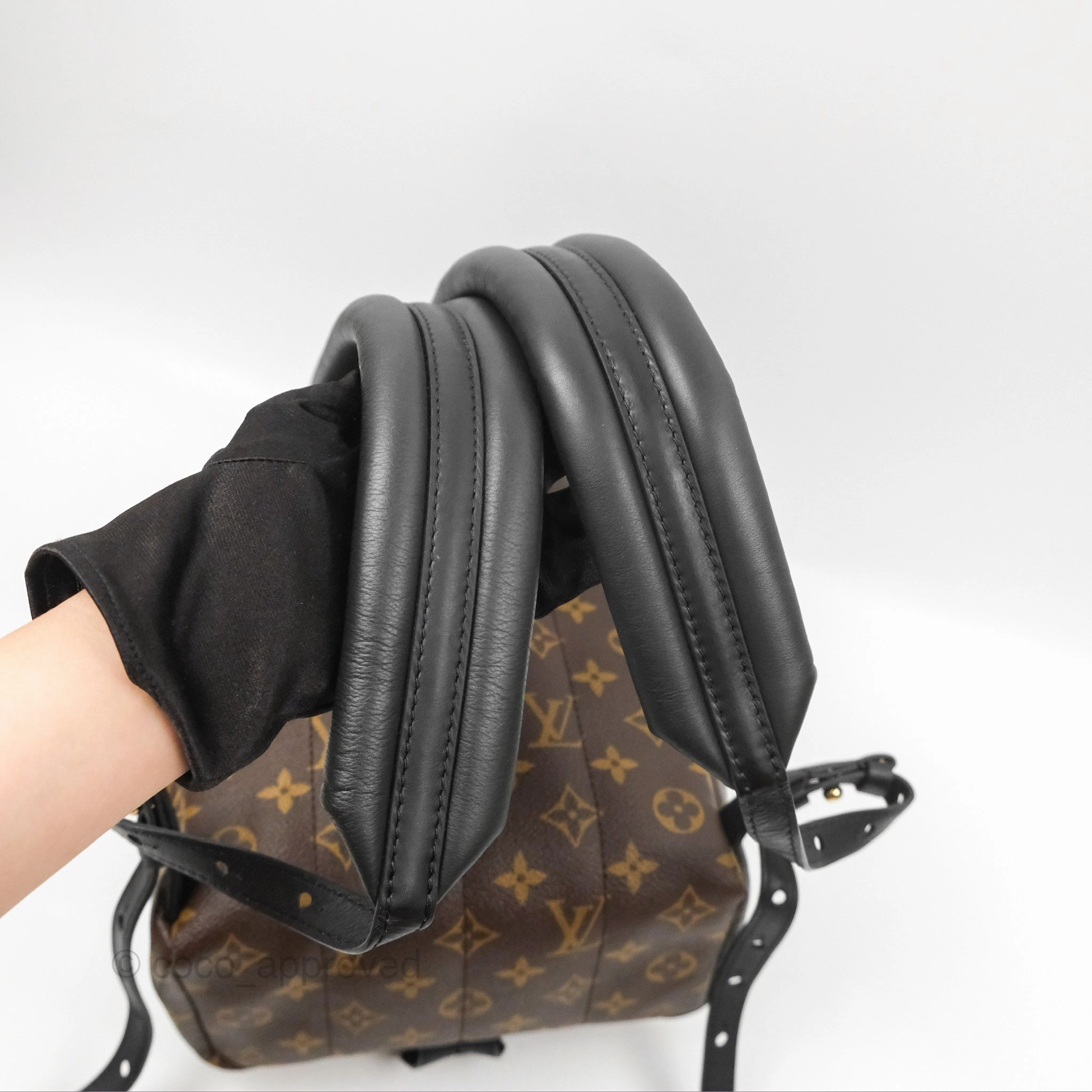 Louis Vuitton Palm Springs Backpack Monogram PM