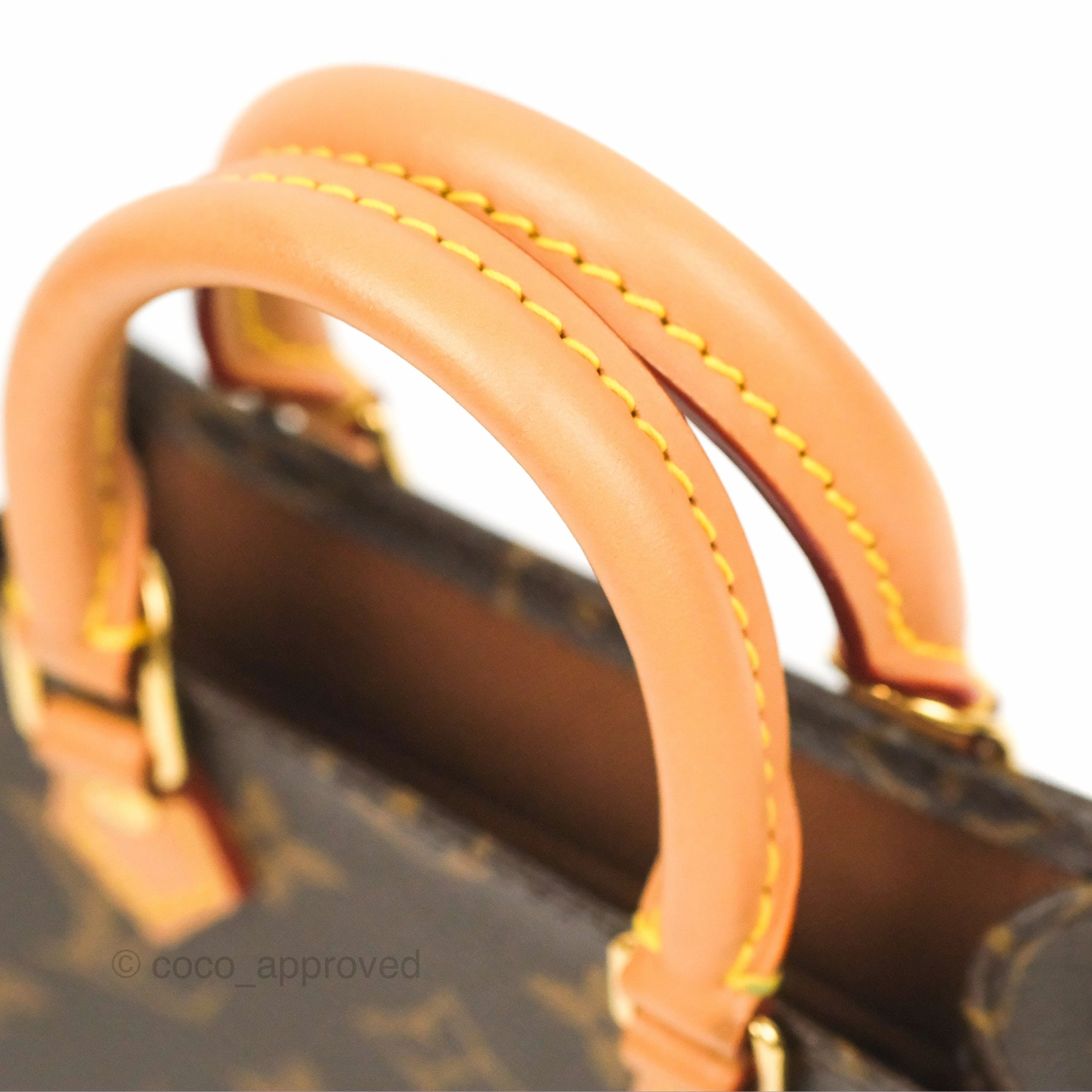 Louis Vuitton Petit Sac Plat Bag Monogram Canvas
