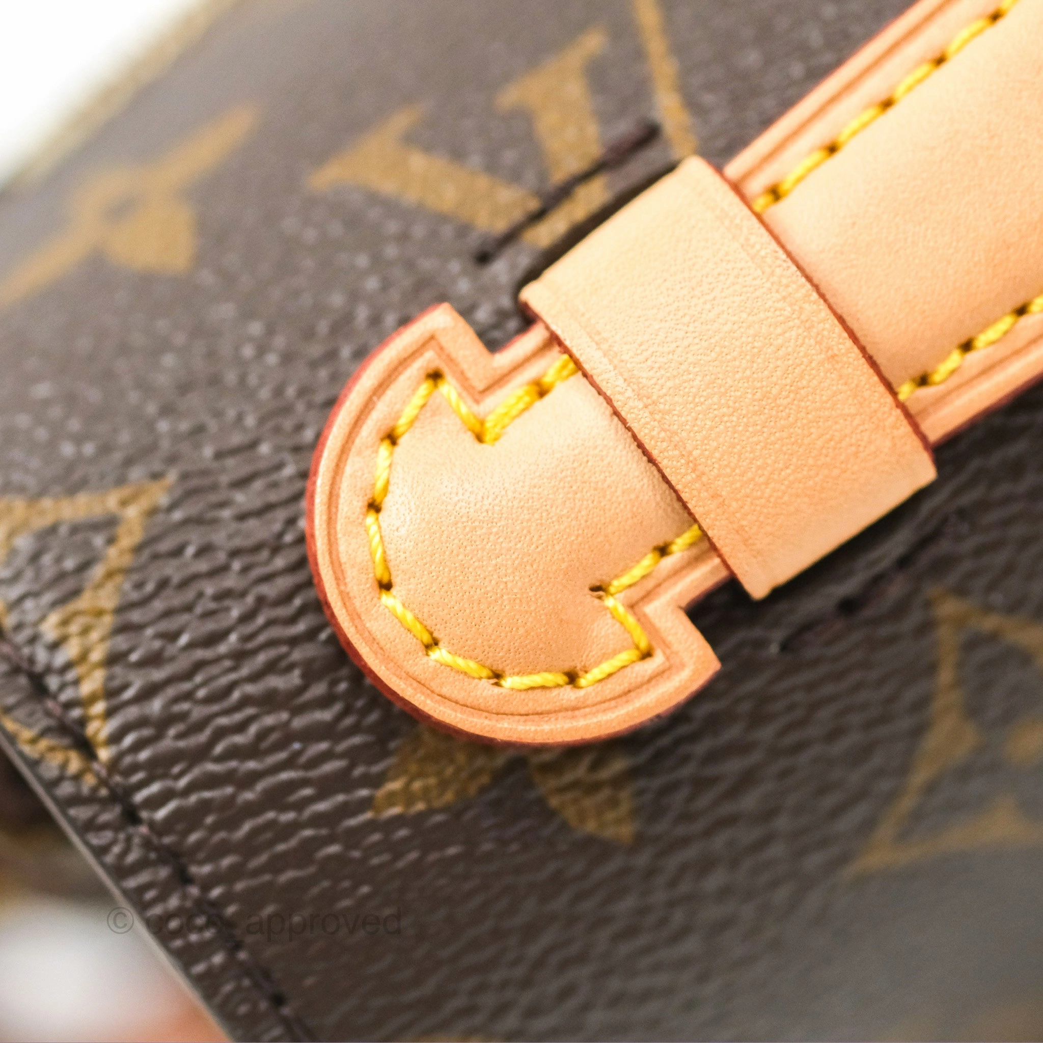 Louis Vuitton Pochette Metis Monogram