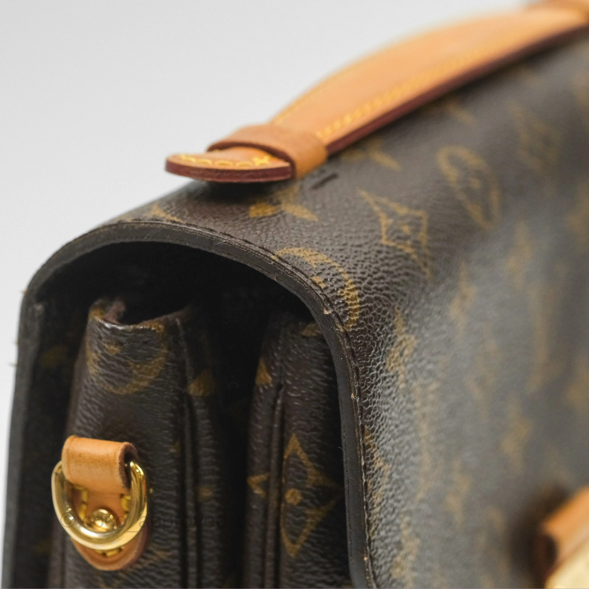 Louis Vuitton Pochette Metis Monogram