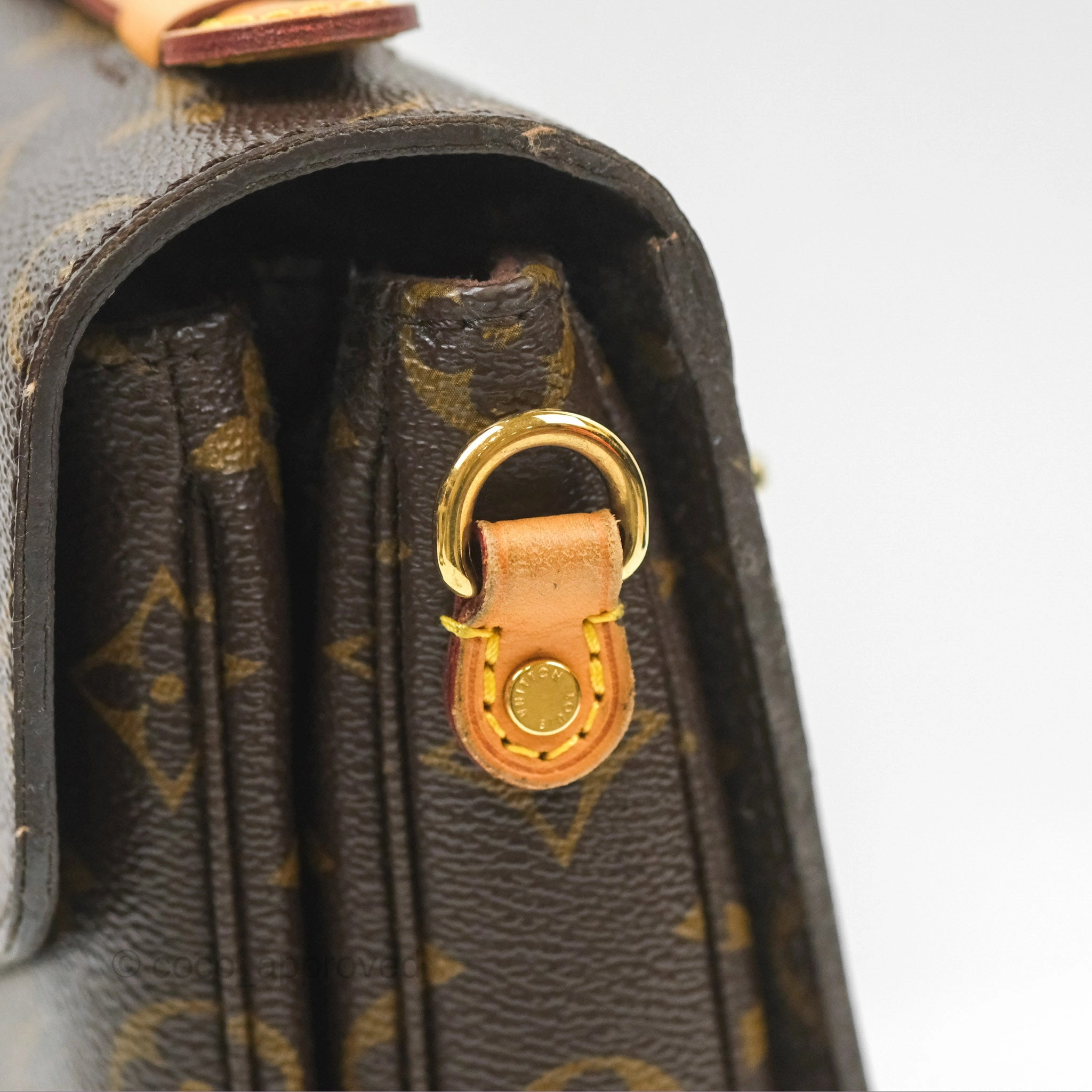 Louis Vuitton Pochette Metis Monogram