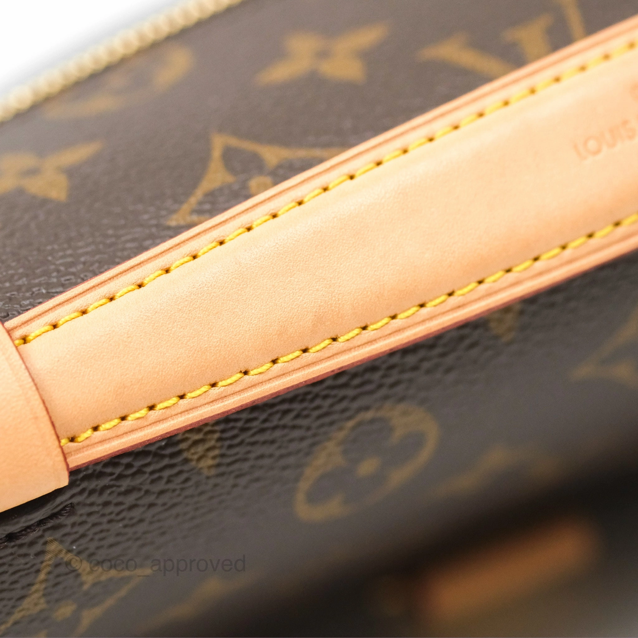 Louis Vuitton Pochette Metis Monogram