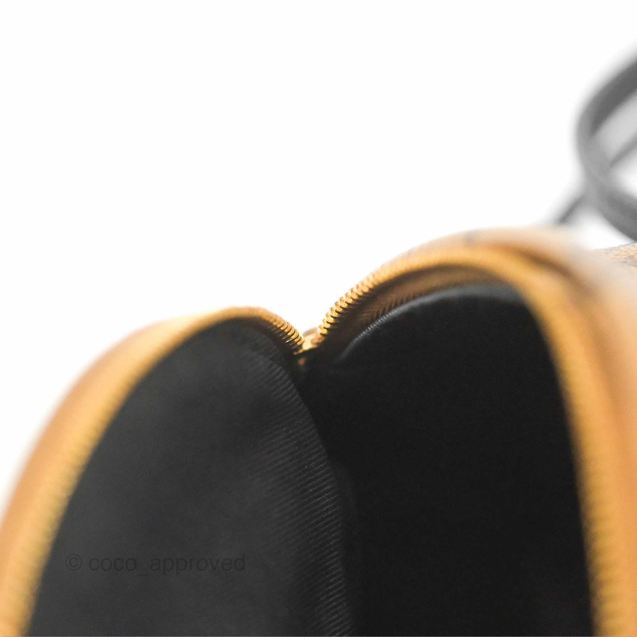Louis Vuitton Reverse Mini Palm Springs Backpack