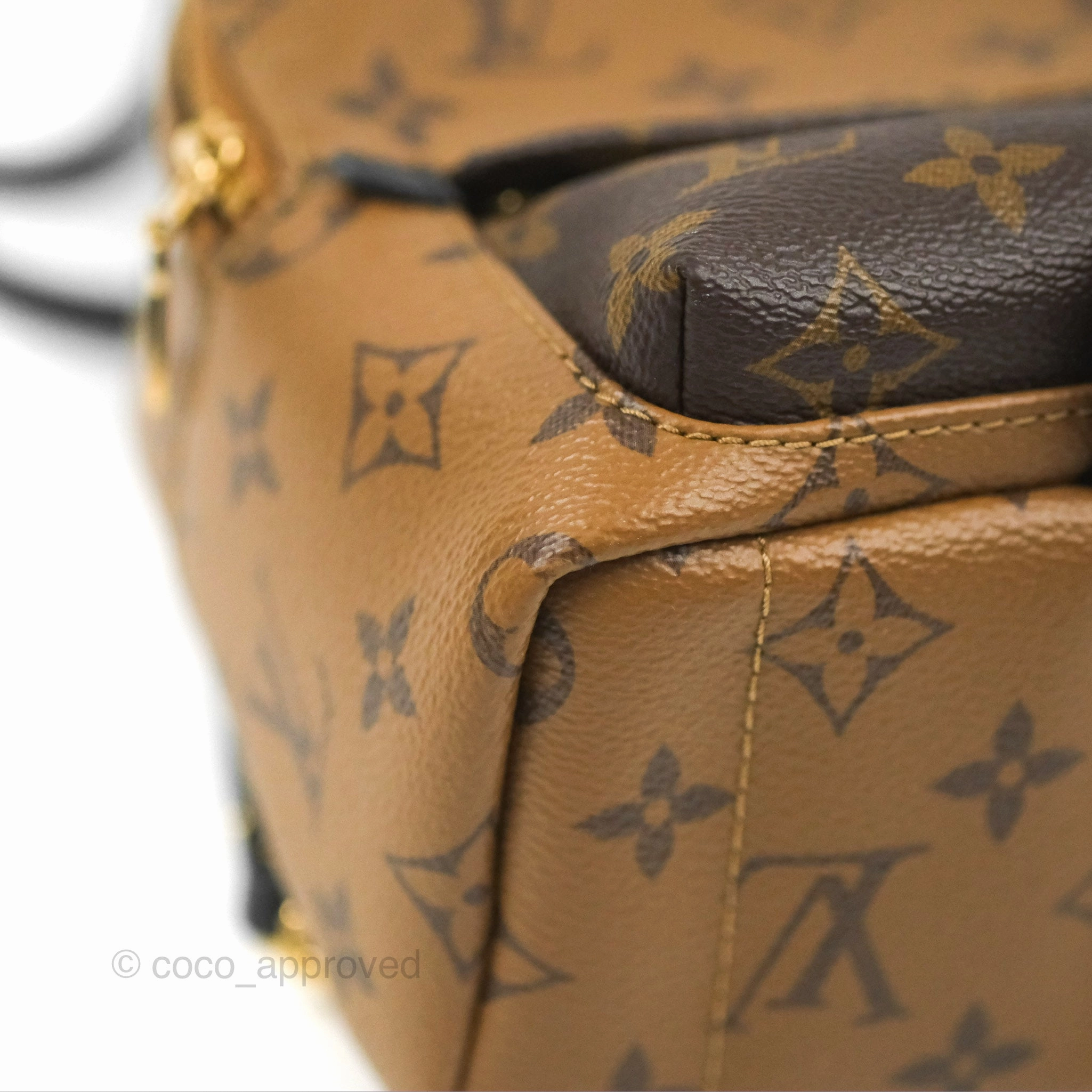 Louis Vuitton Reverse Mini Palm Springs Backpack