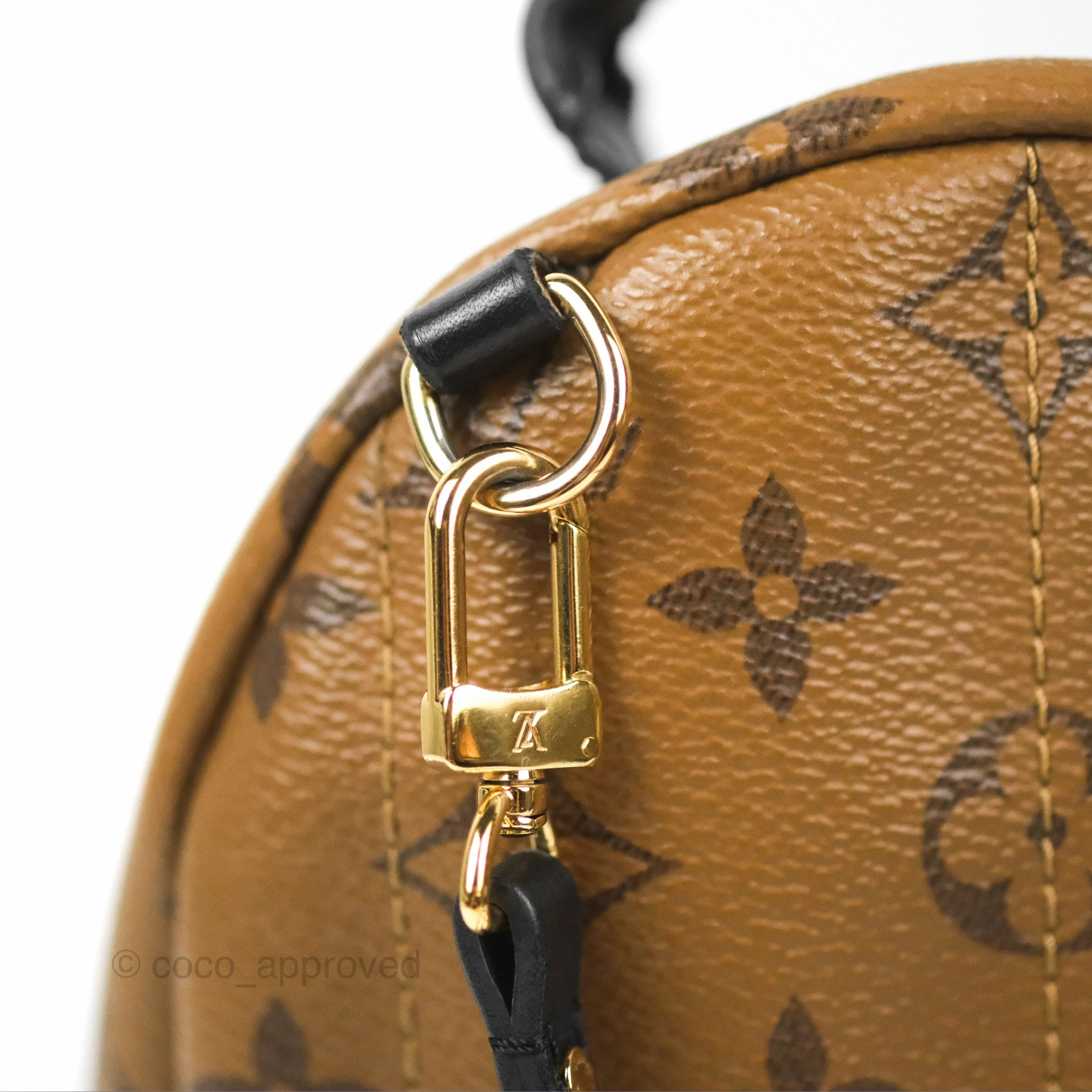 Louis Vuitton Reverse Mini Palm Springs Backpack