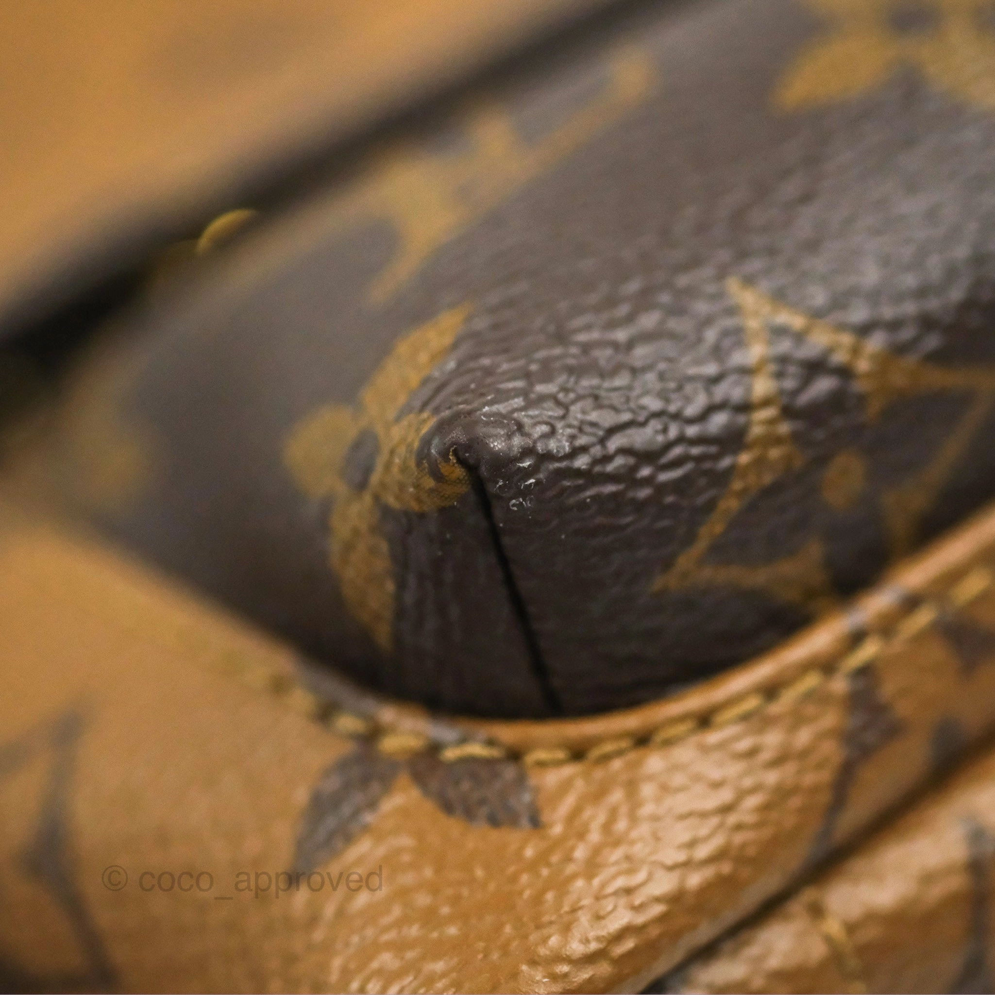 Louis Vuitton Reverse Mini Palm Springs Backpack