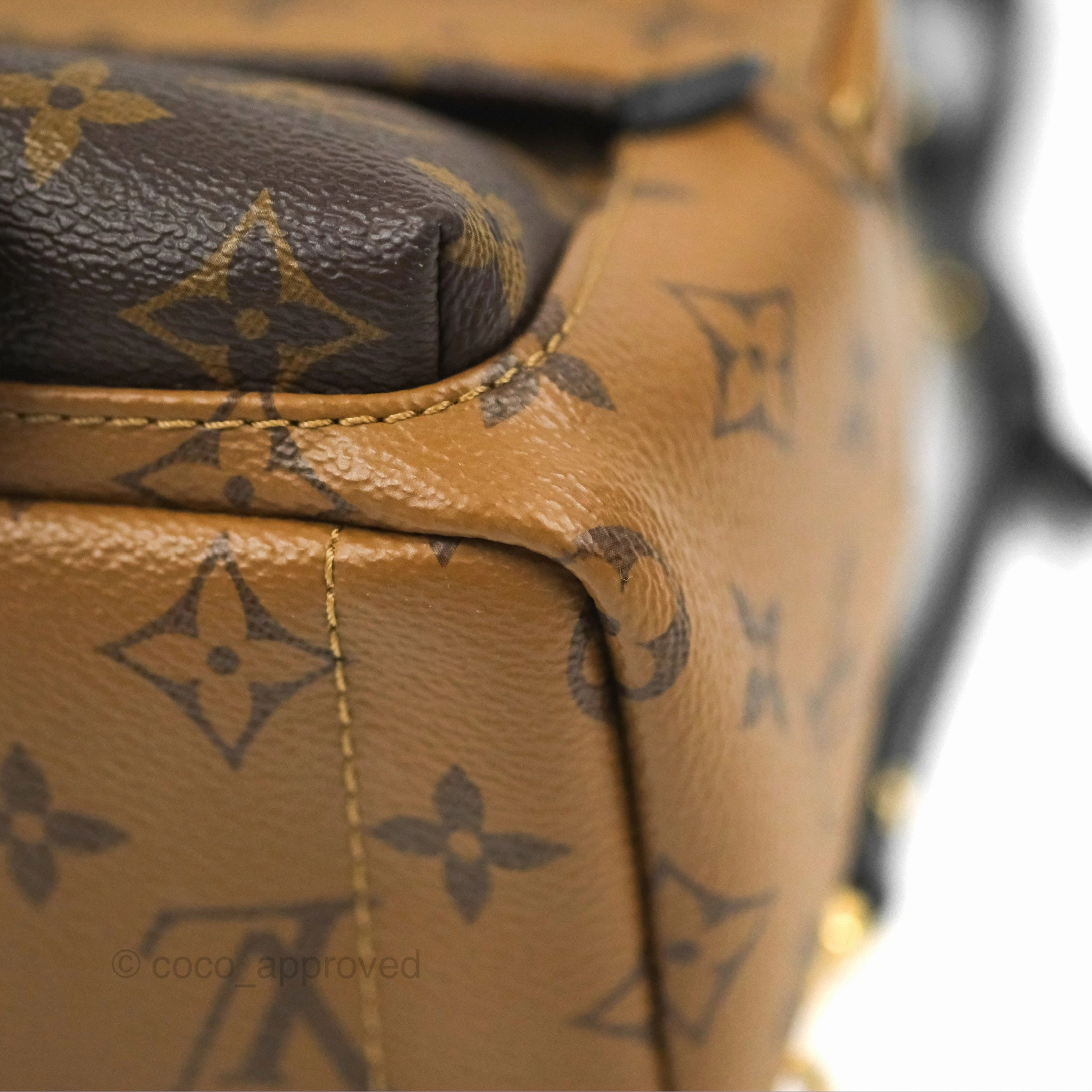 Louis Vuitton Reverse Mini Palm Springs Backpack