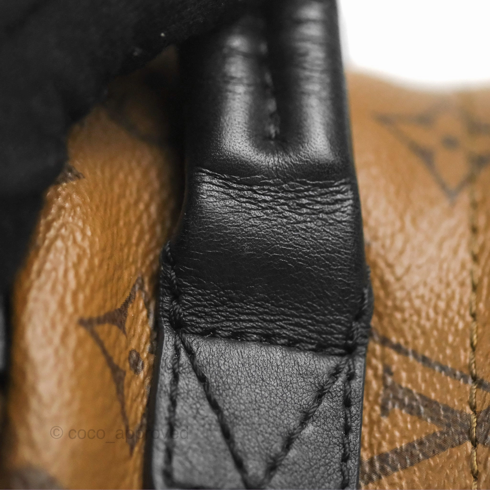 Louis Vuitton Reverse Mini Palm Springs Backpack