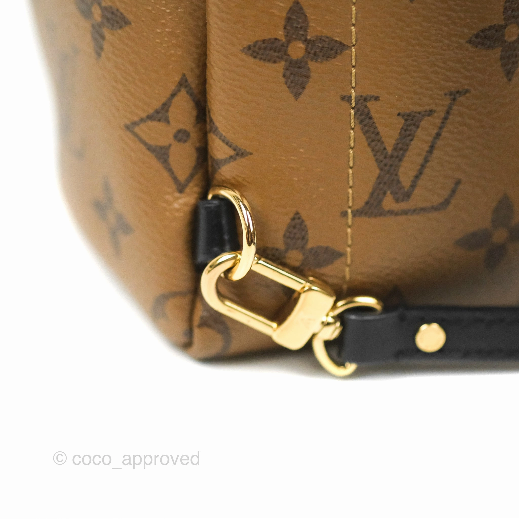Louis Vuitton Reverse Mini Palm Springs Backpack