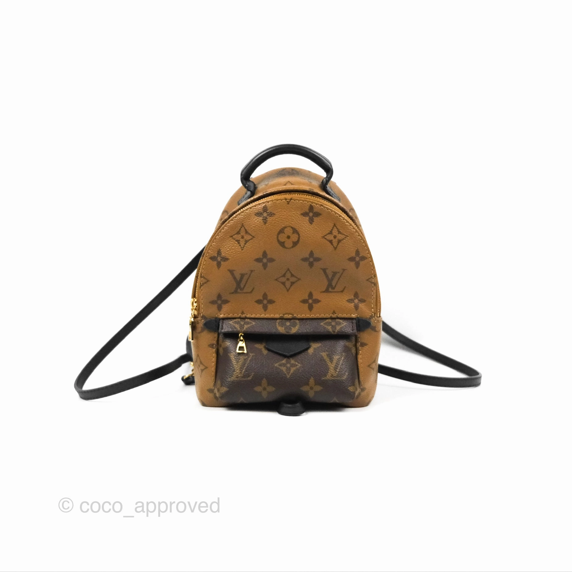 Louis Vuitton Reverse Mini Palm Springs Backpack