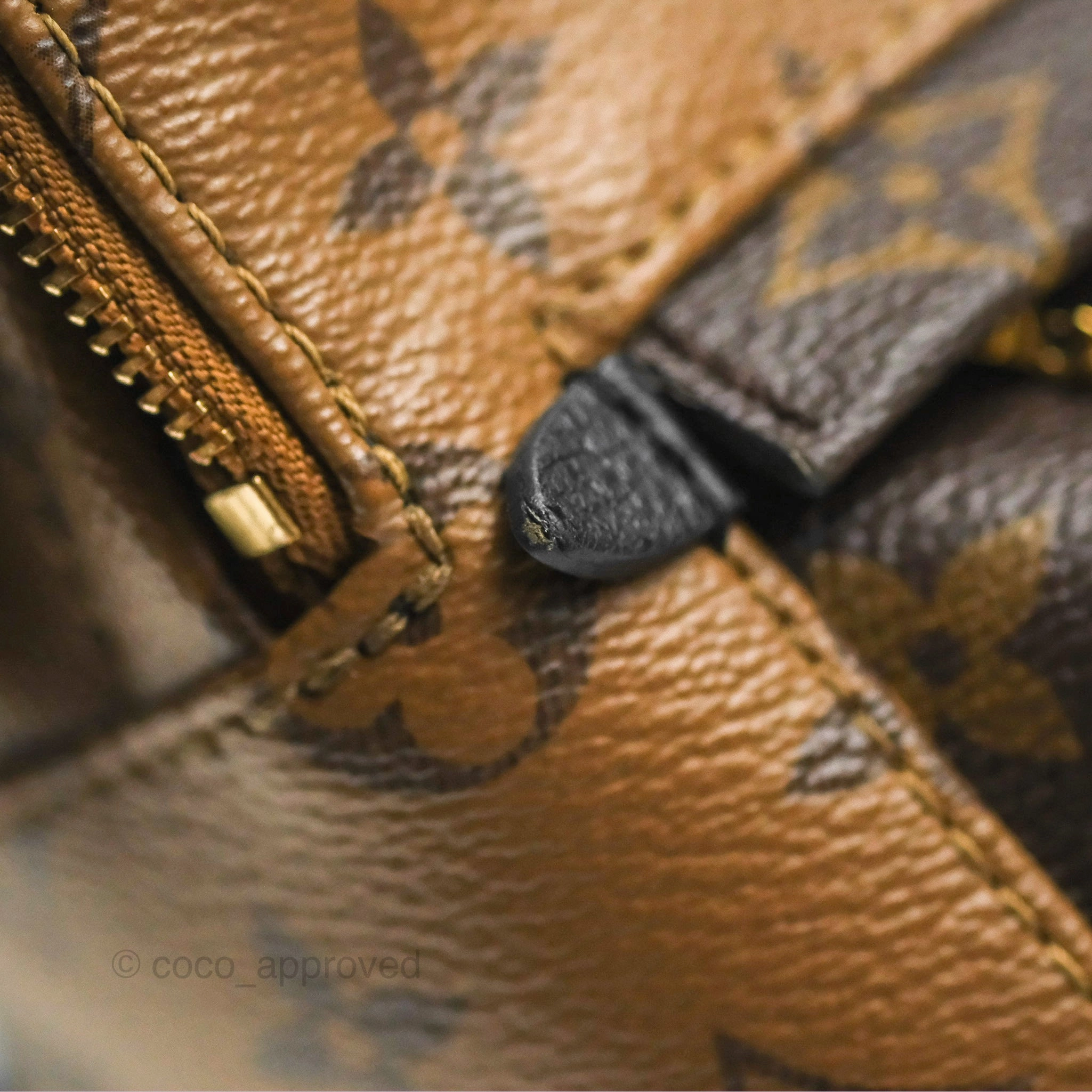 Louis Vuitton Reverse Mini Palm Springs Backpack