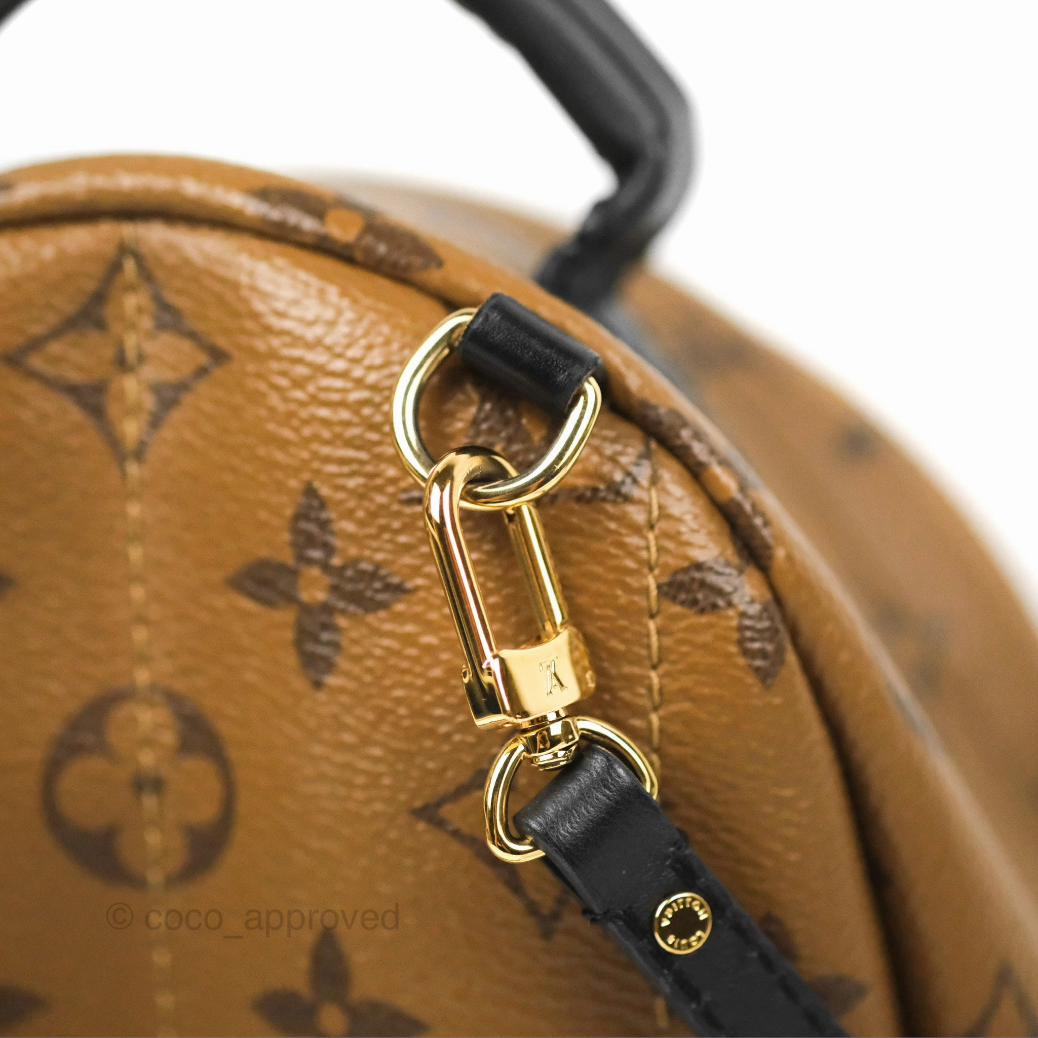 Louis Vuitton Reverse Mini Palm Springs Backpack