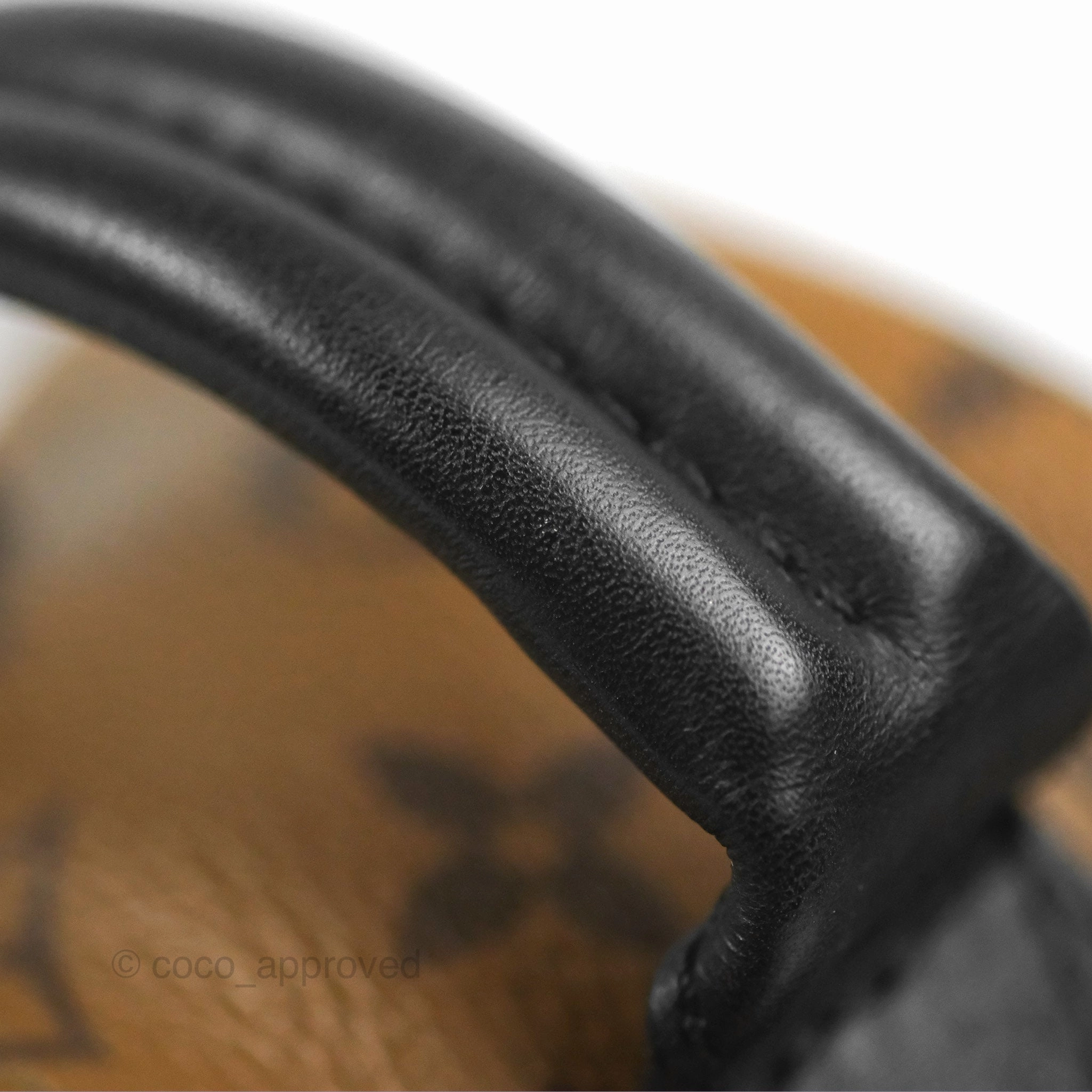 Louis Vuitton Reverse Mini Palm Springs Backpack