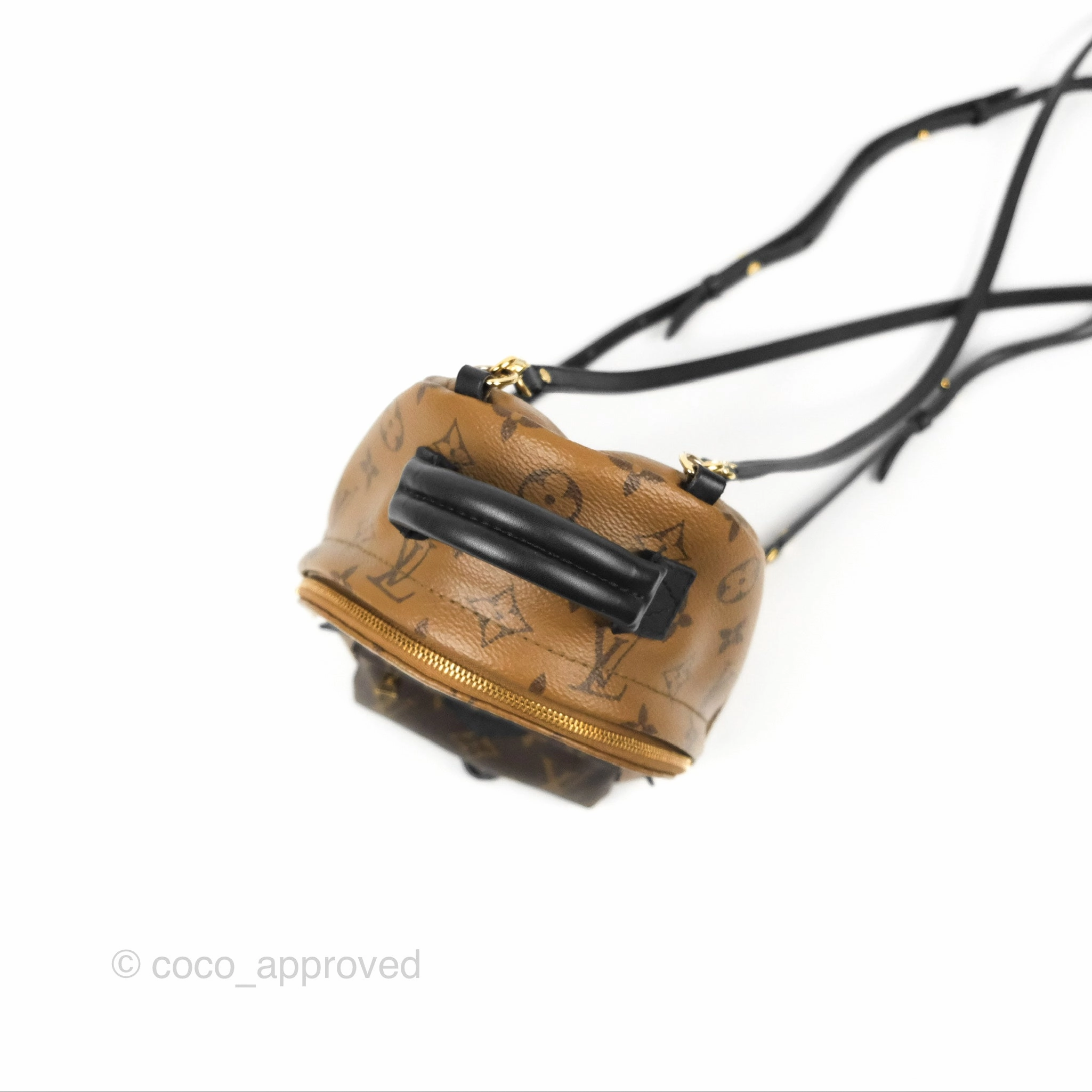 Louis Vuitton Reverse Mini Palm Springs Backpack