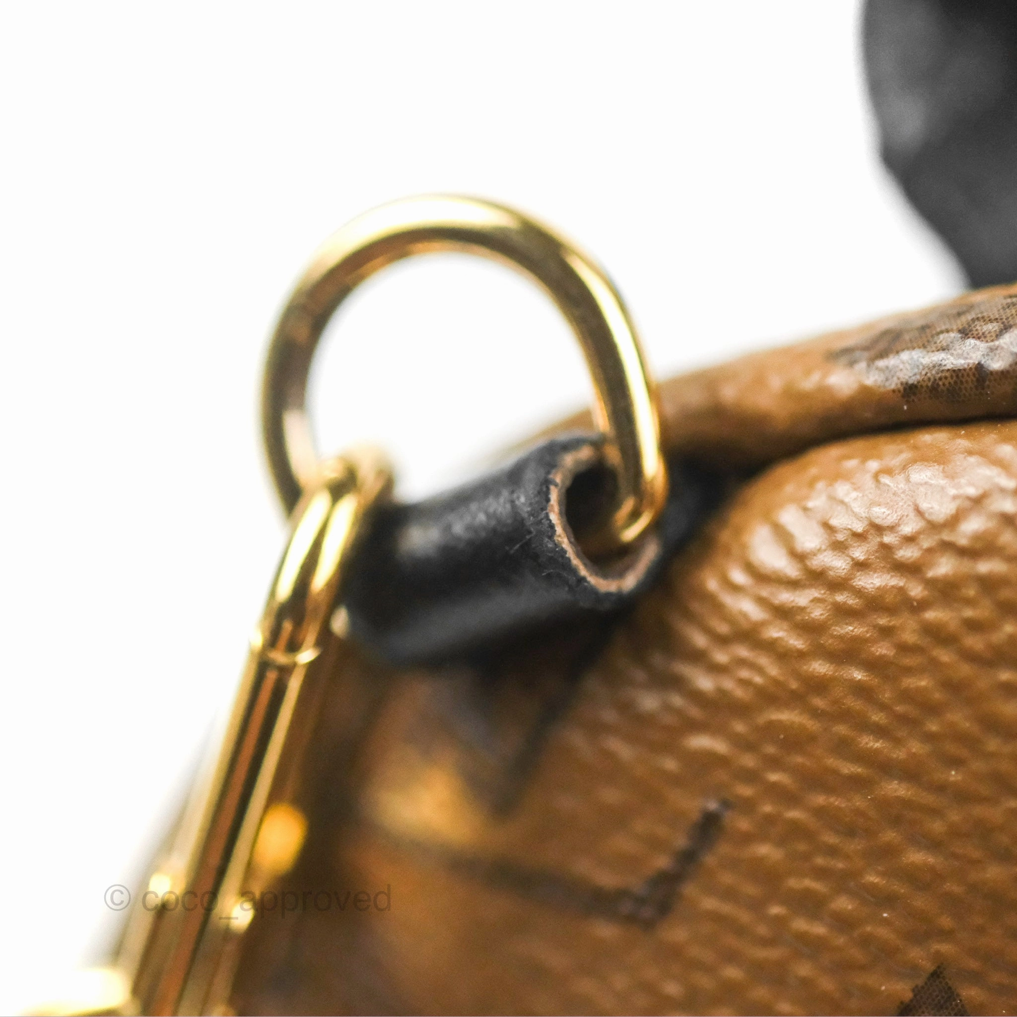 Louis Vuitton Reverse Mini Palm Springs Backpack
