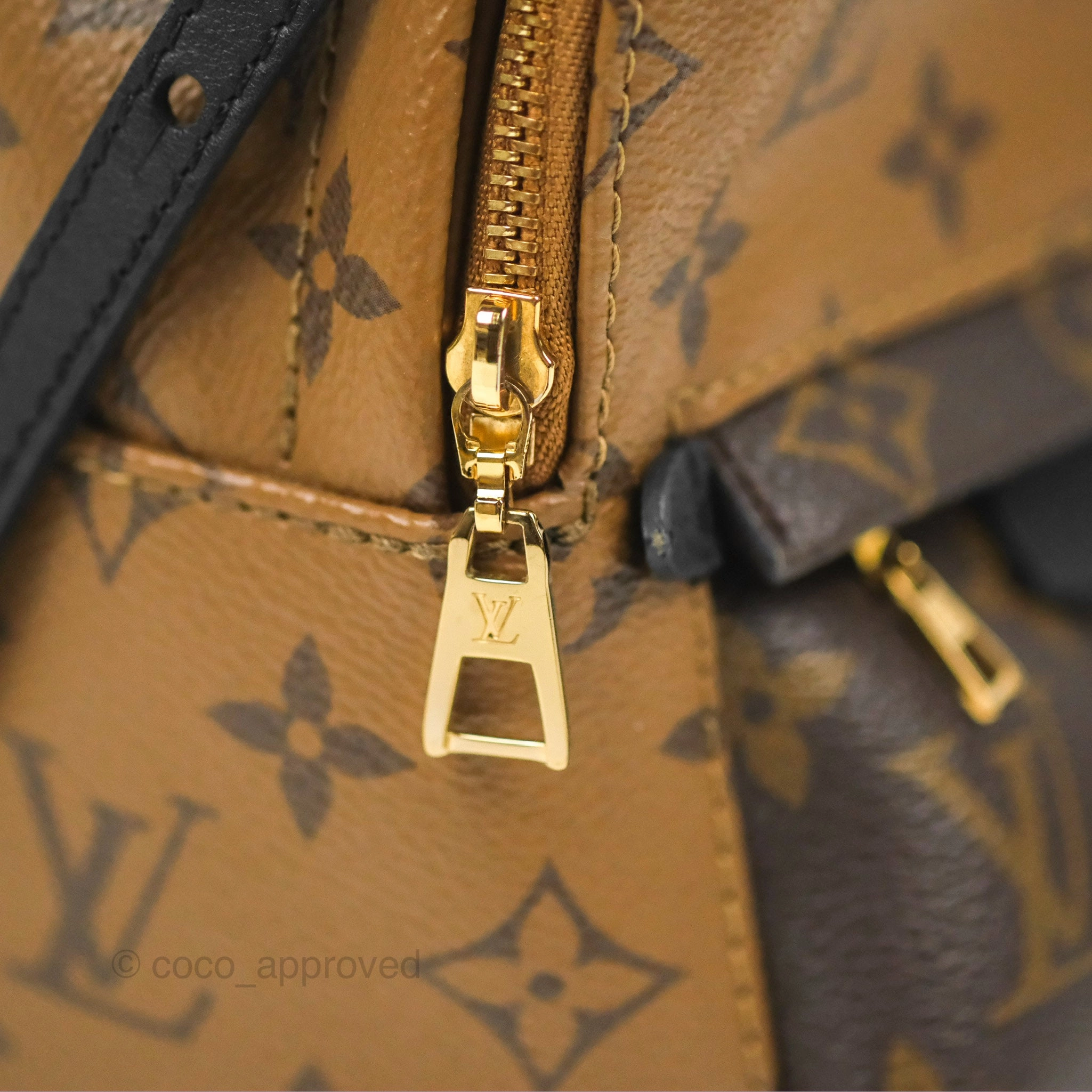 Louis Vuitton Reverse Mini Palm Springs Backpack
