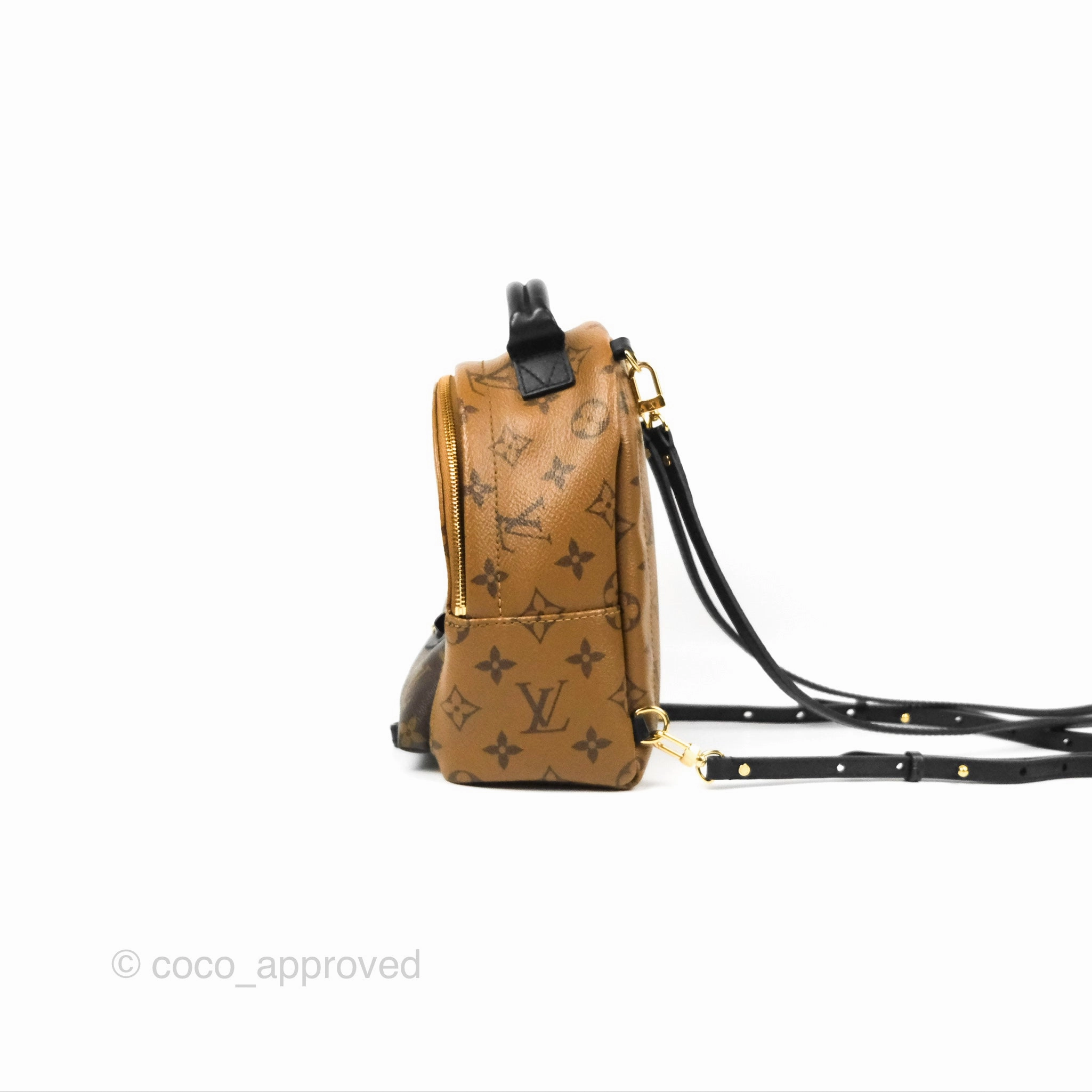 Louis Vuitton Reverse Mini Palm Springs Backpack